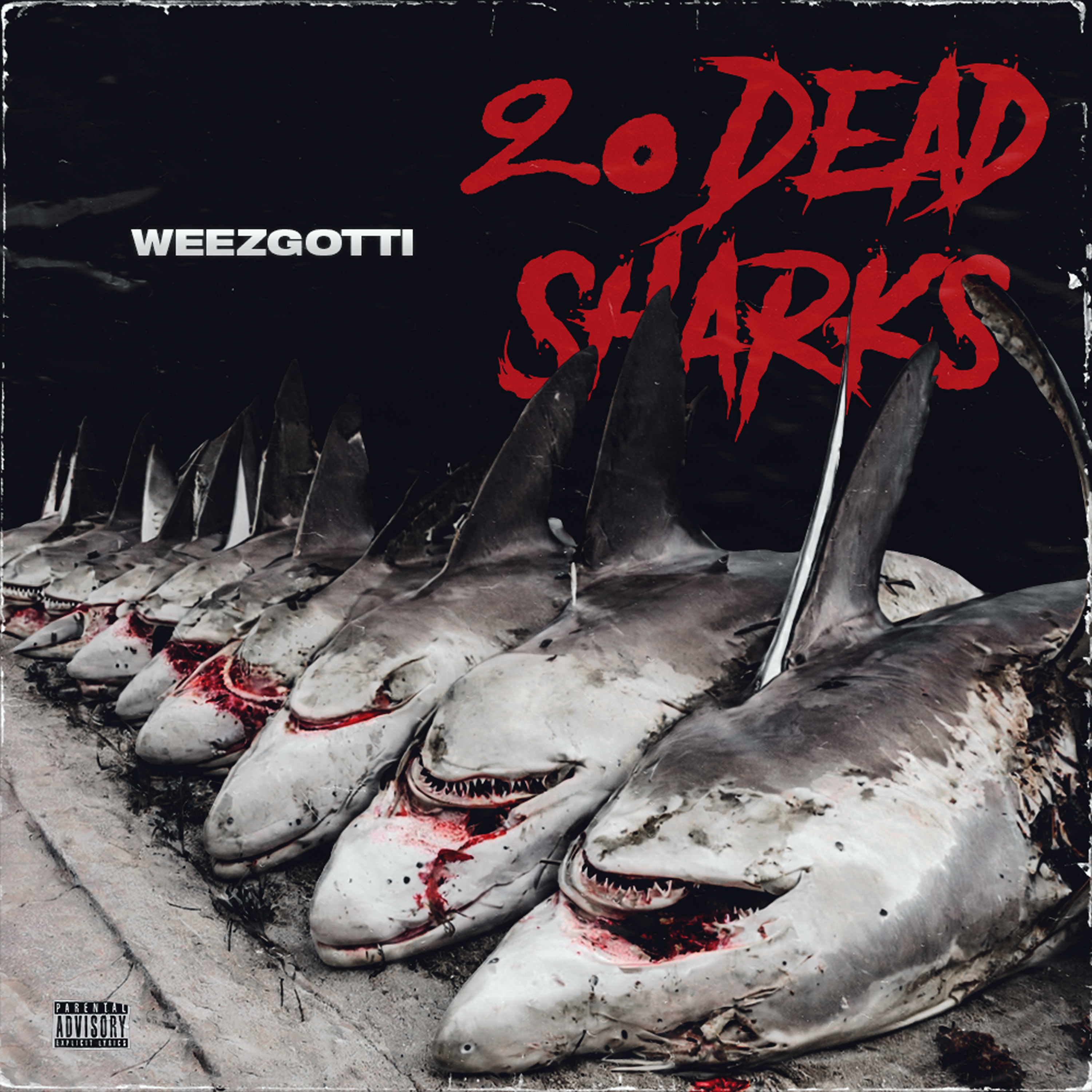 20 Dead Sharks artwork