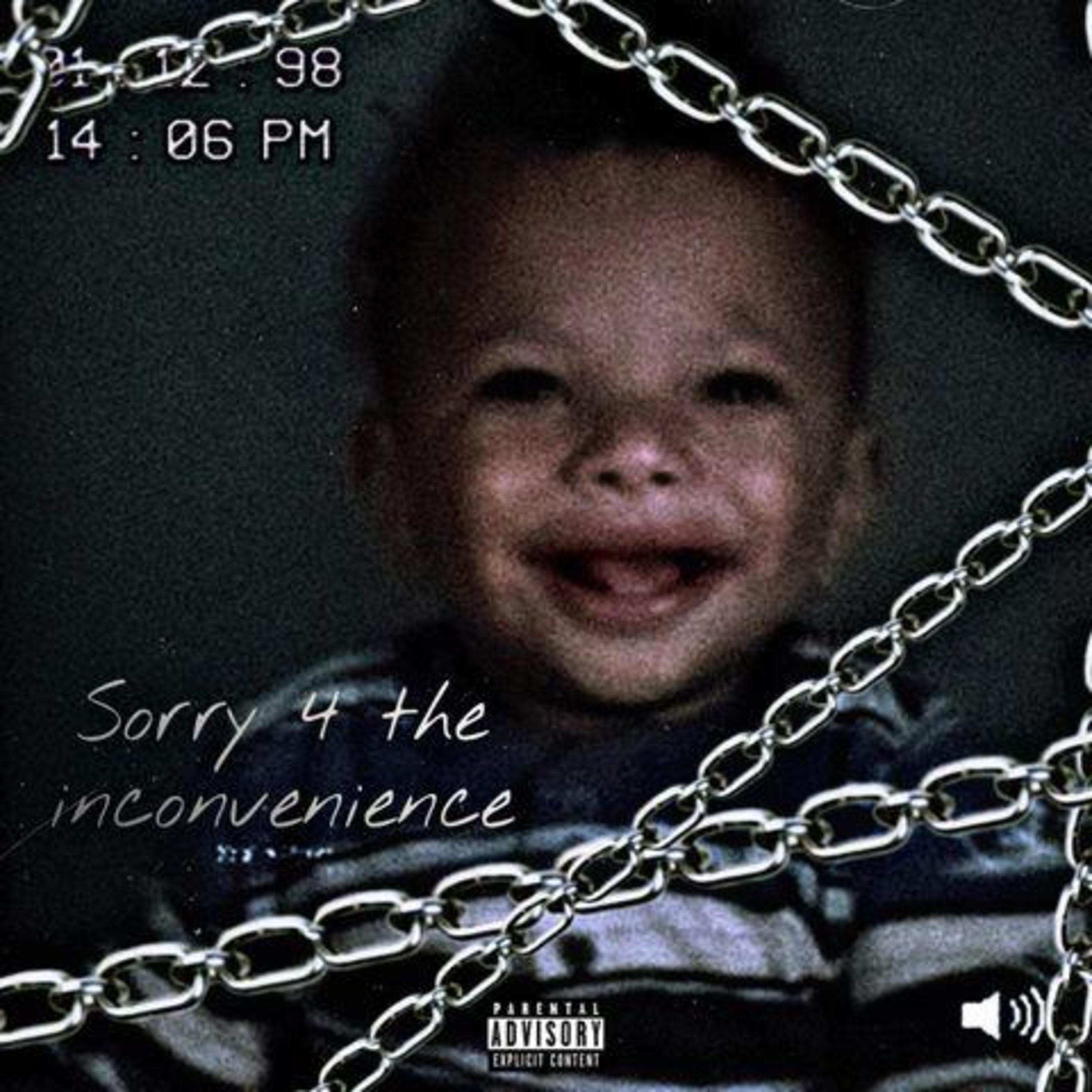 Sorry 4 The Inconvenience artwork