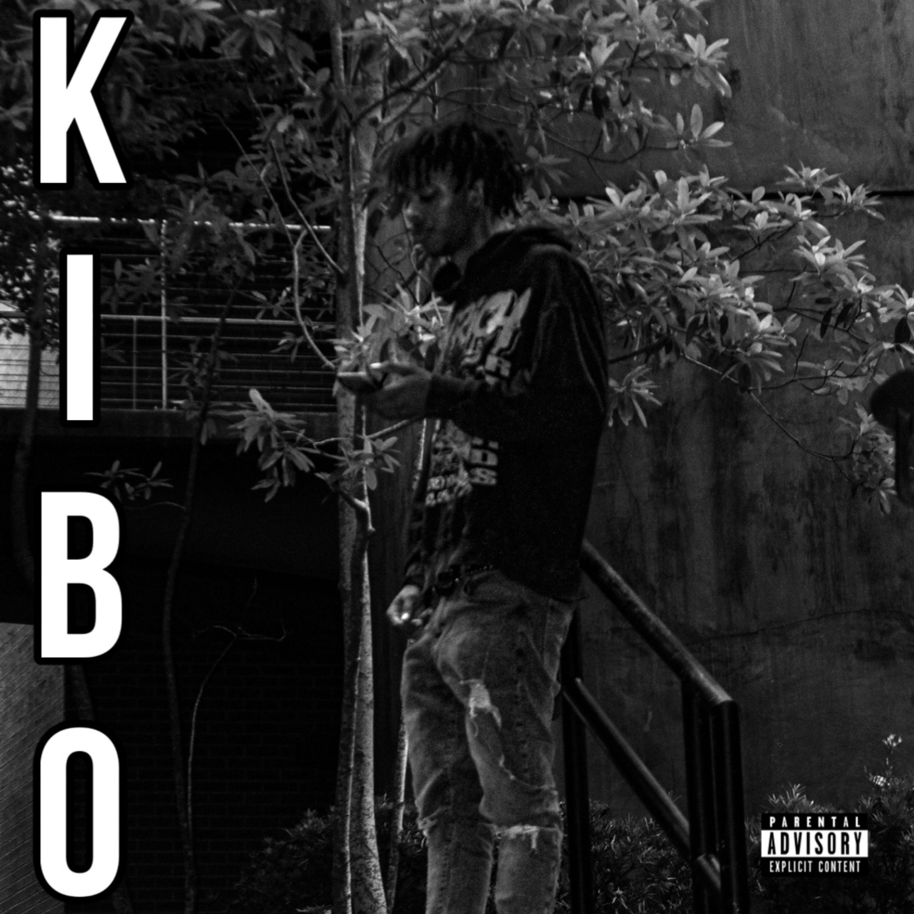 KIBO artwork