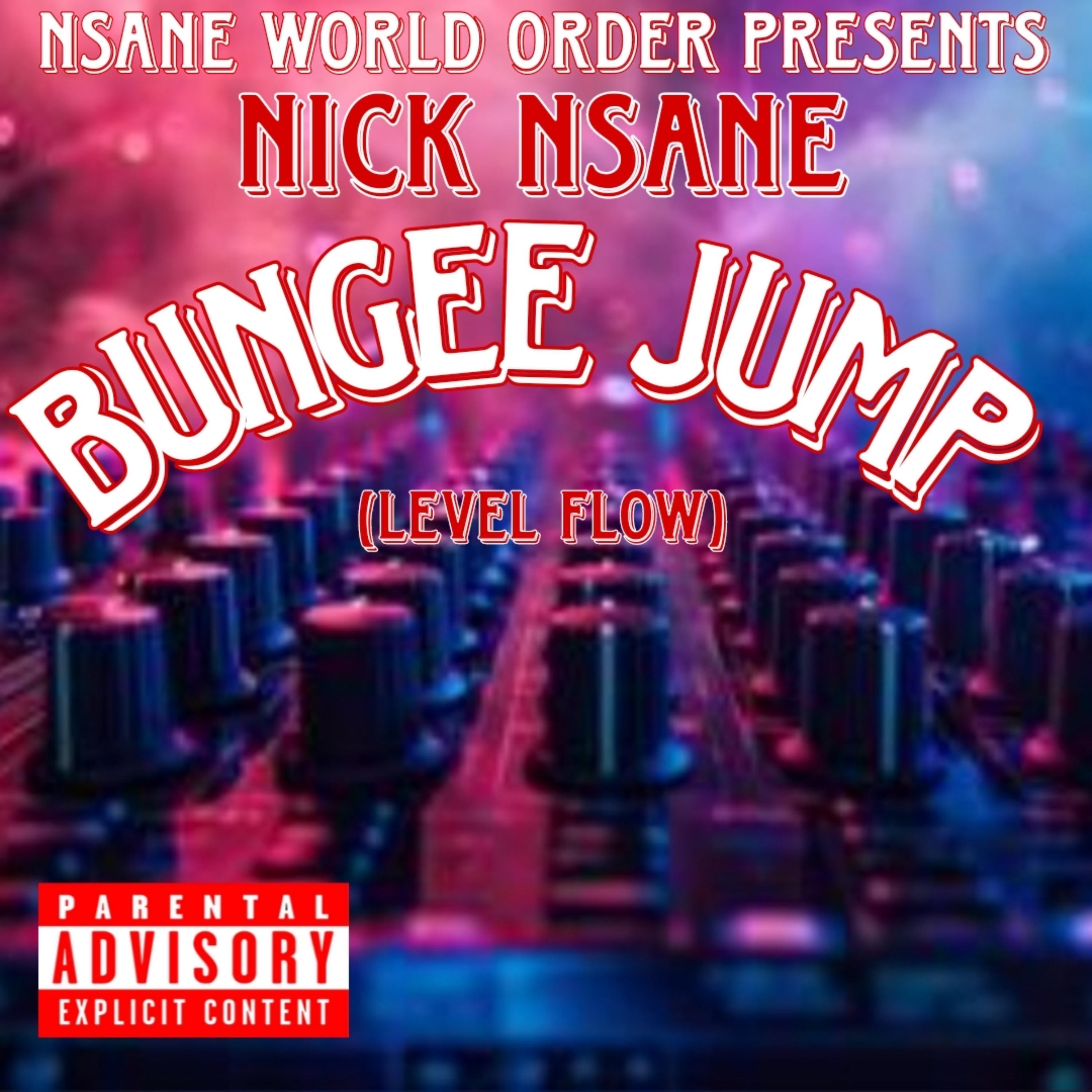 Bungee Jump (Level Flow) artwork