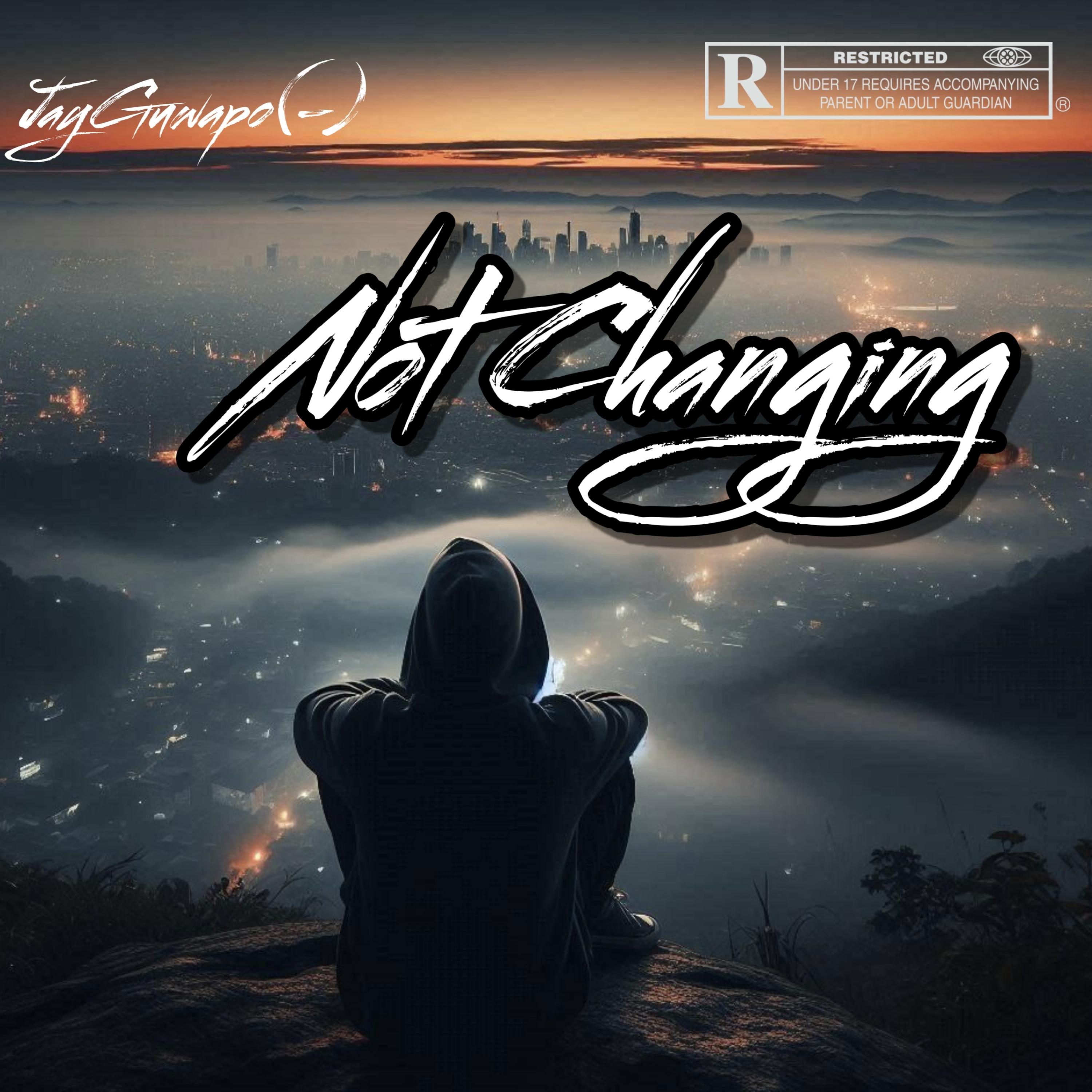 Not Changing artwork