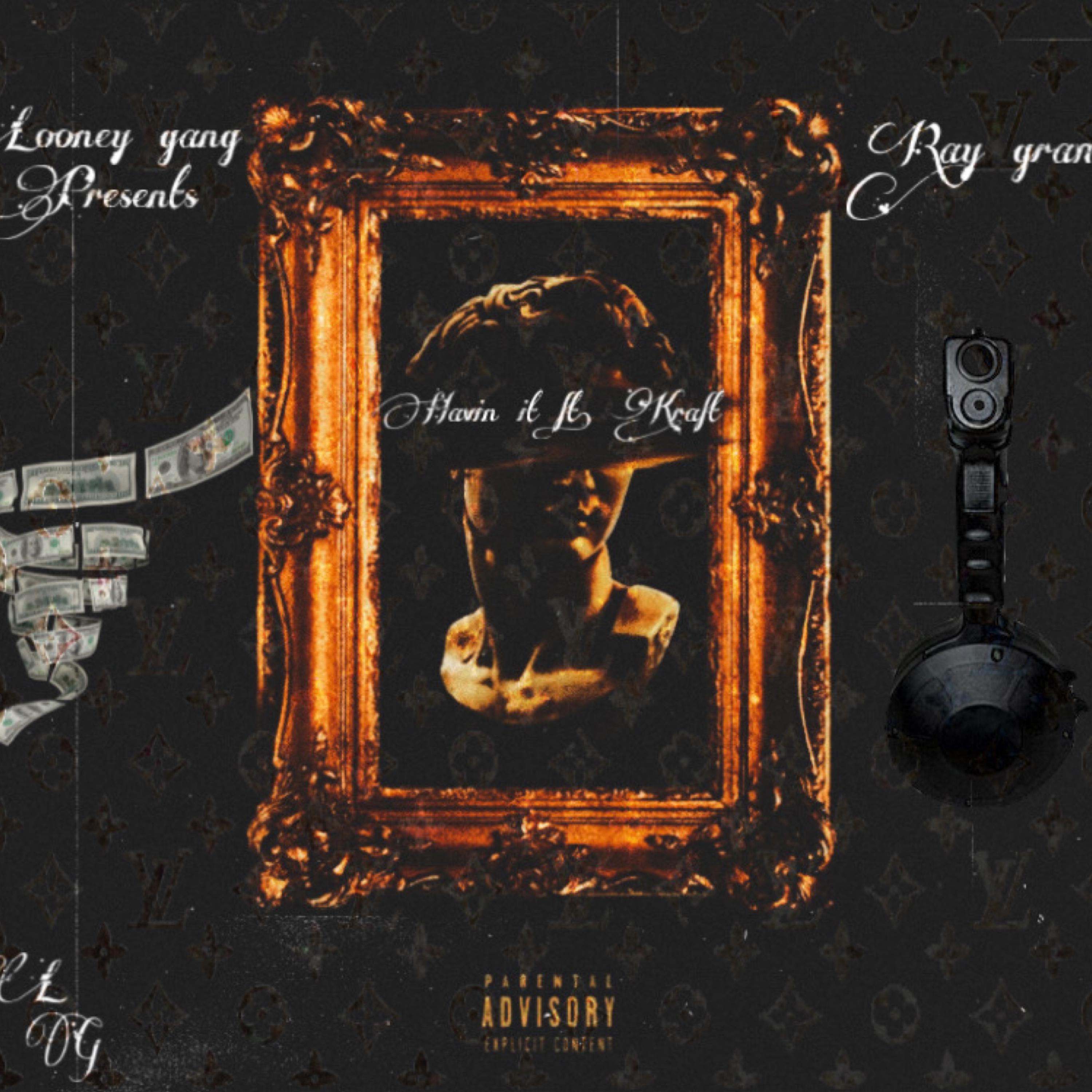 Havin It by Ray Gramz cover art