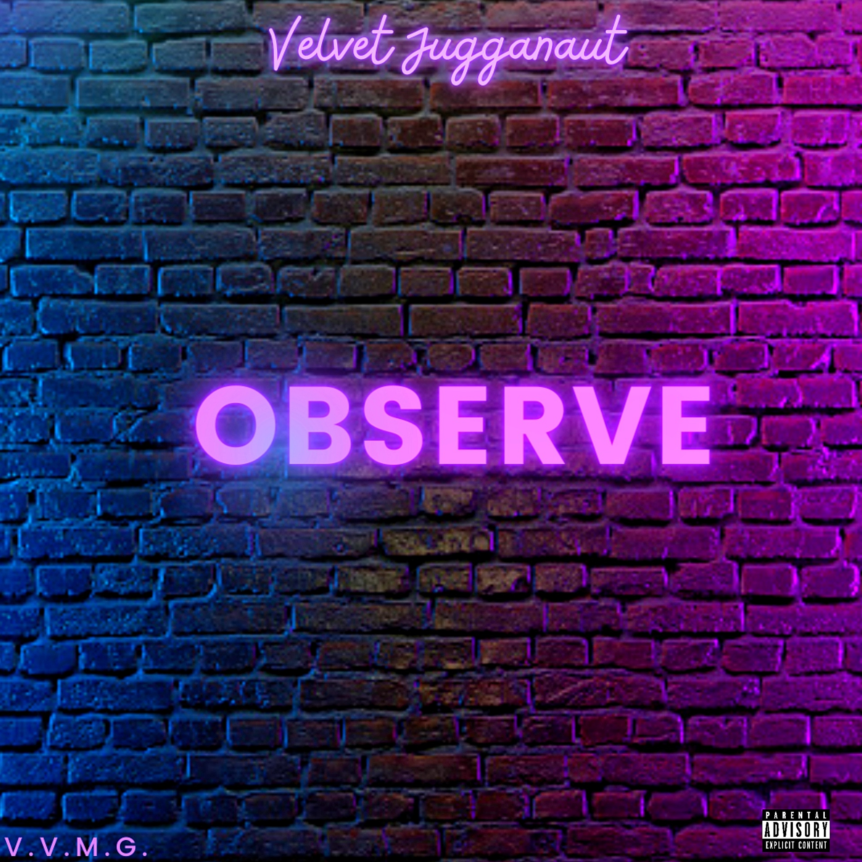Observe artwork