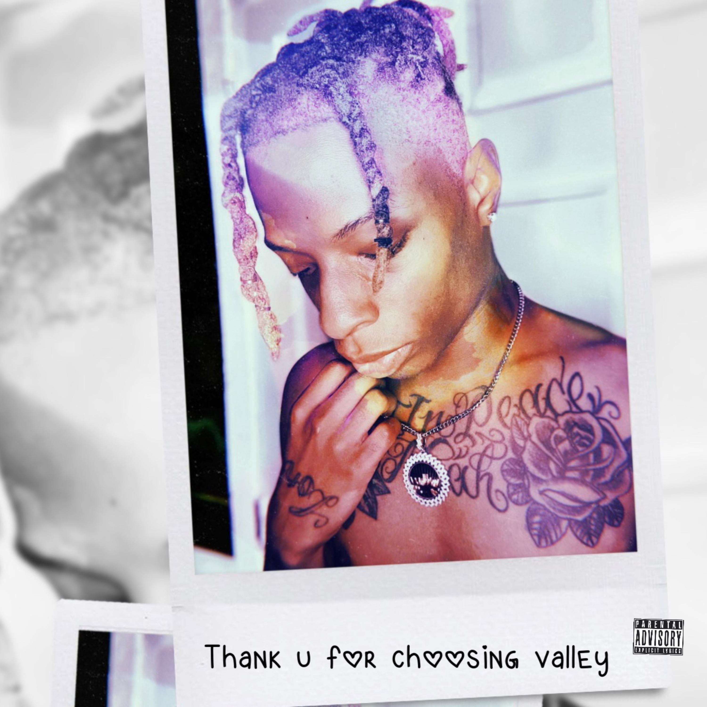 Thank You For Choosing Valley artwork