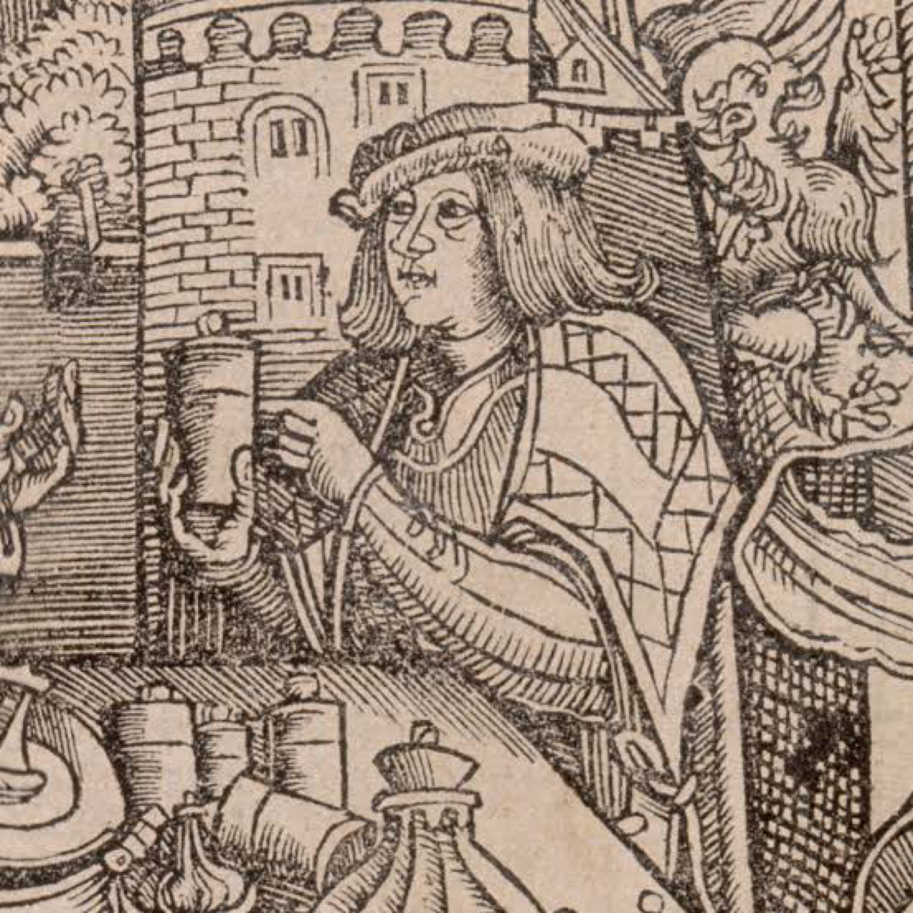 Feeling Feral artwork