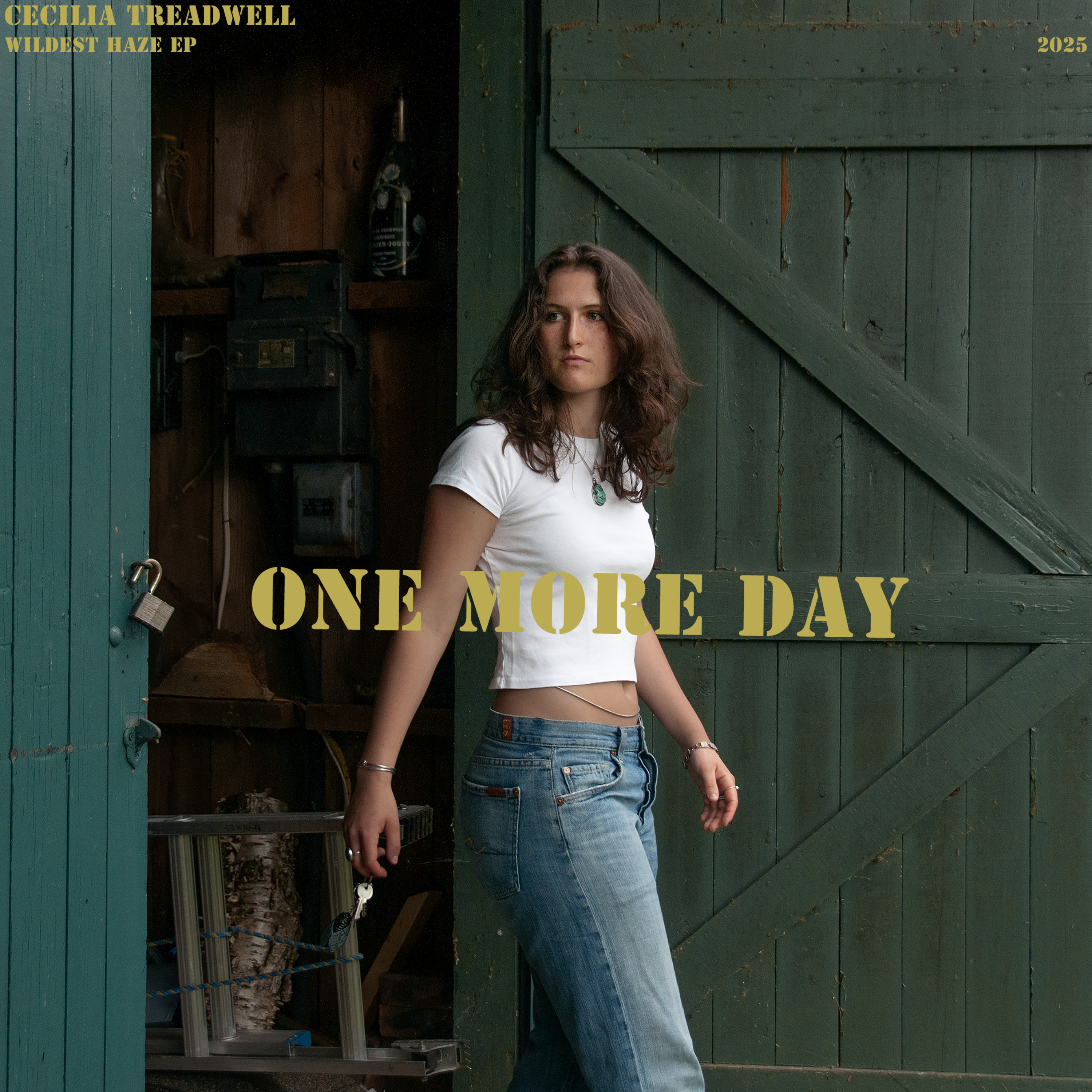 One More Day artwork