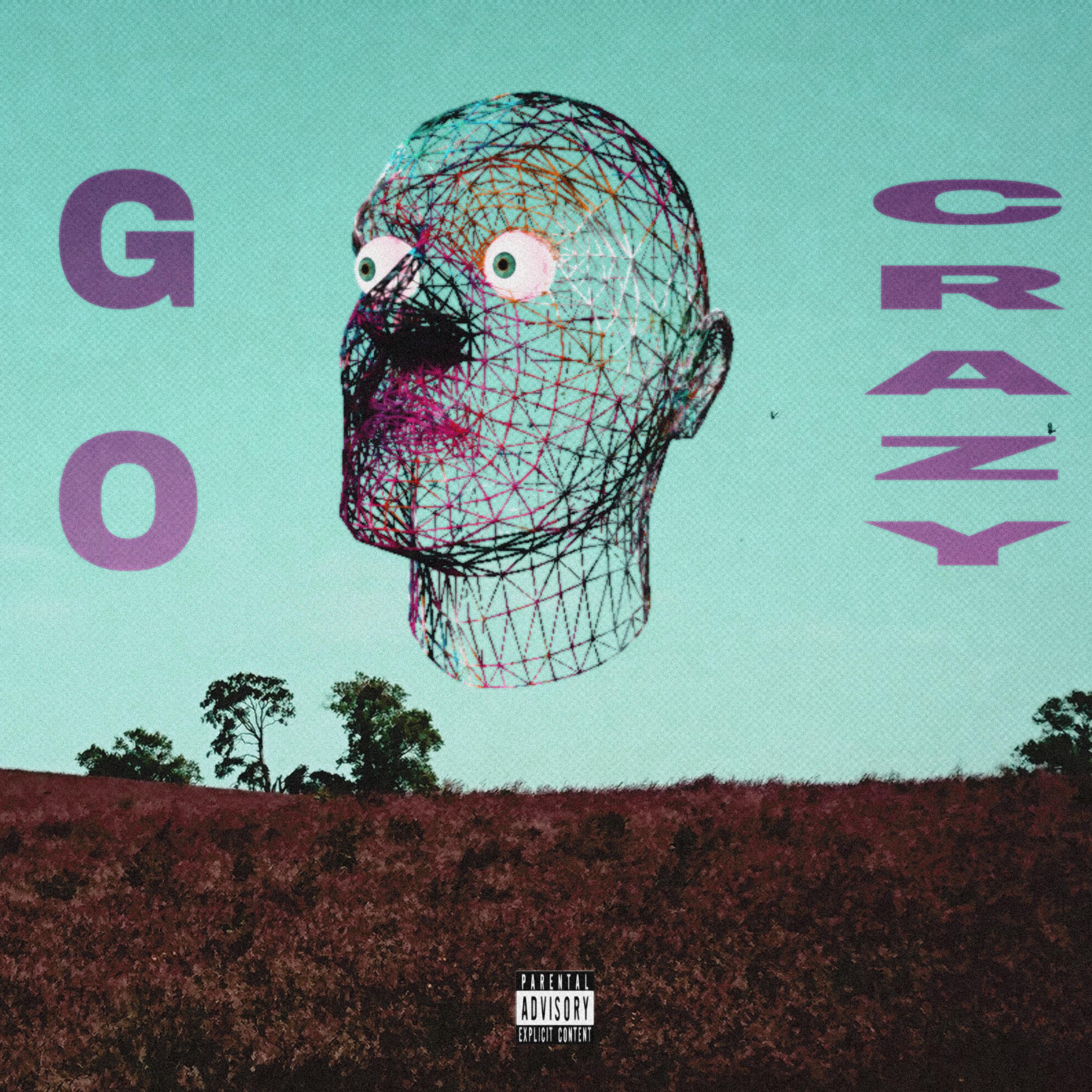GO CRAZY! artwork
