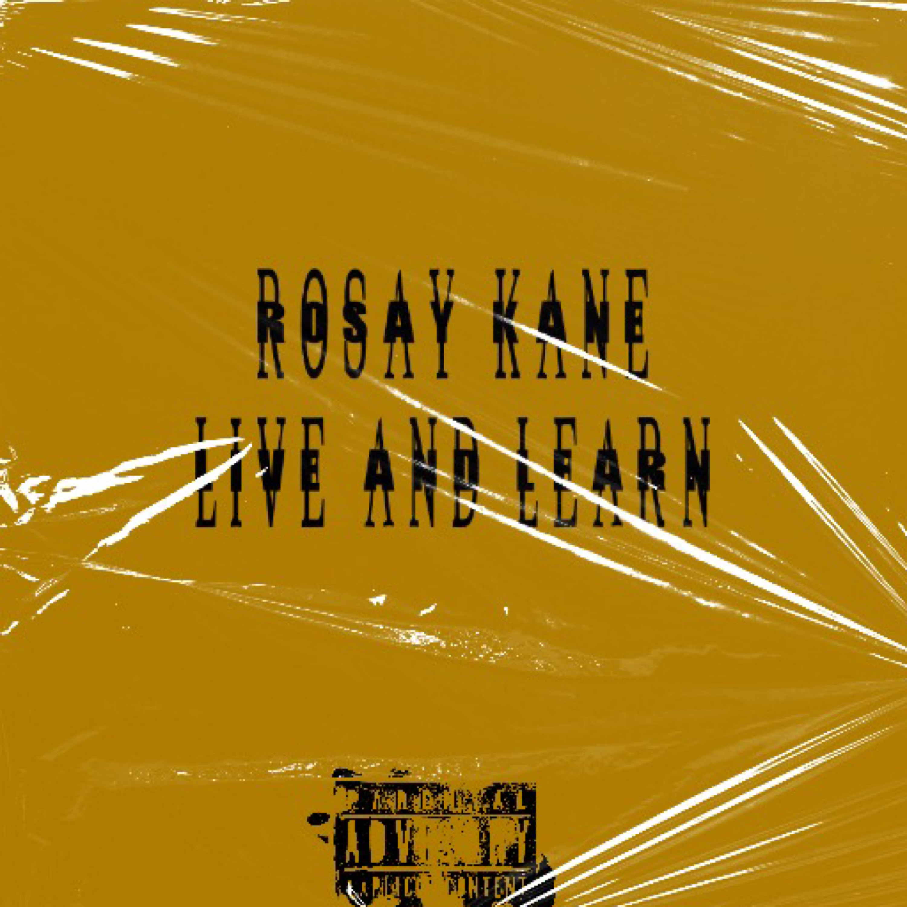 Live And Learn artwork