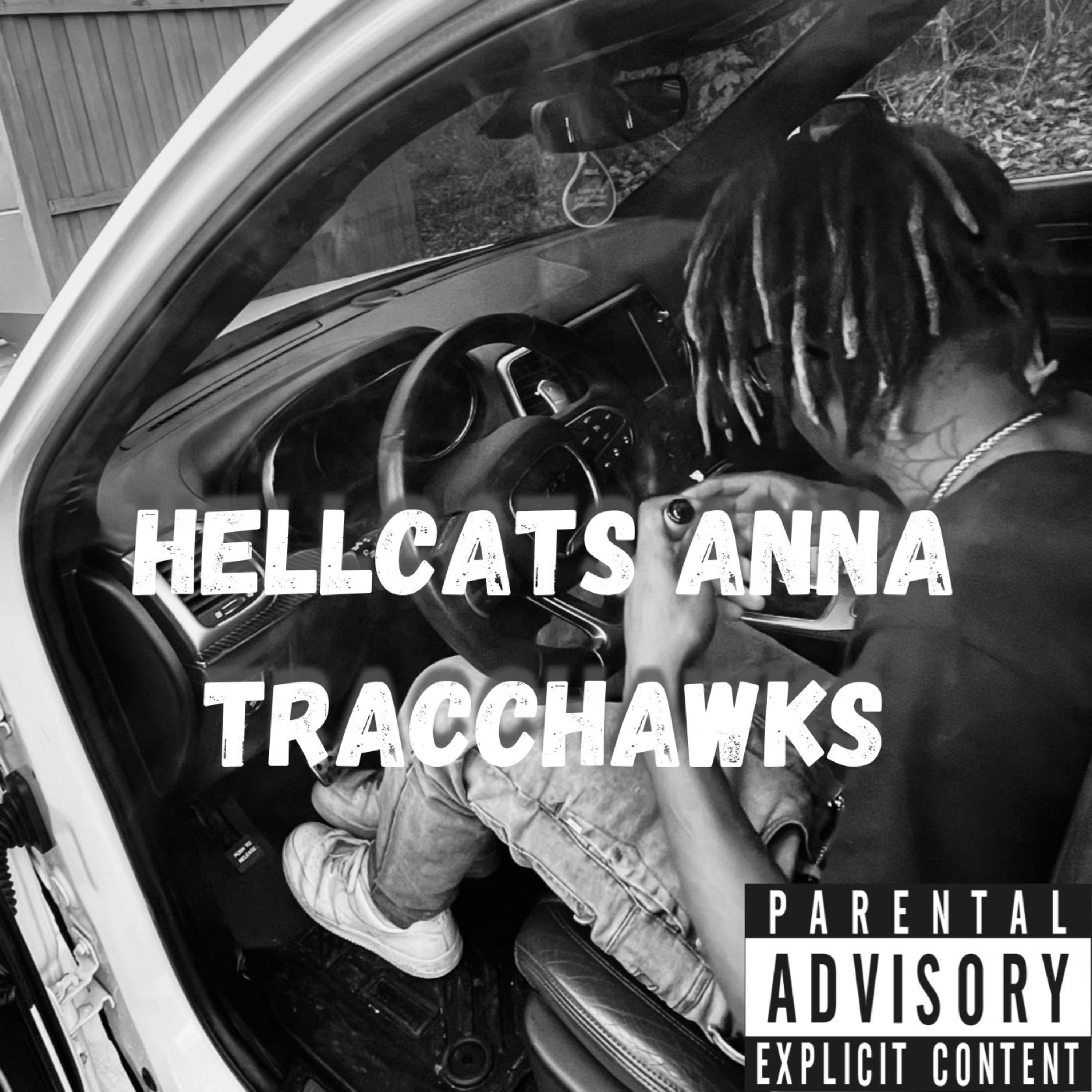 Hellcats Anna Tracchawks artwork