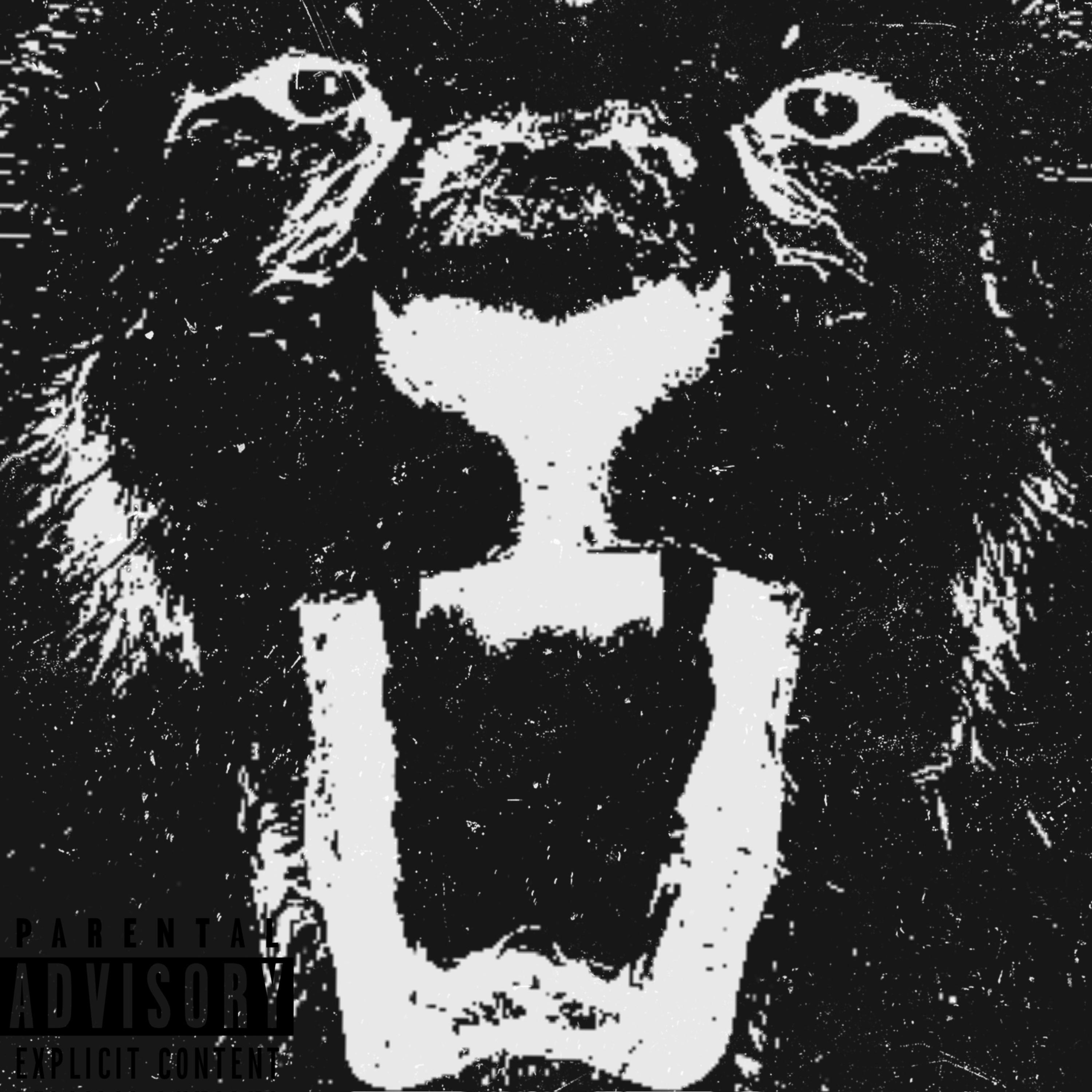 LIONS artwork
