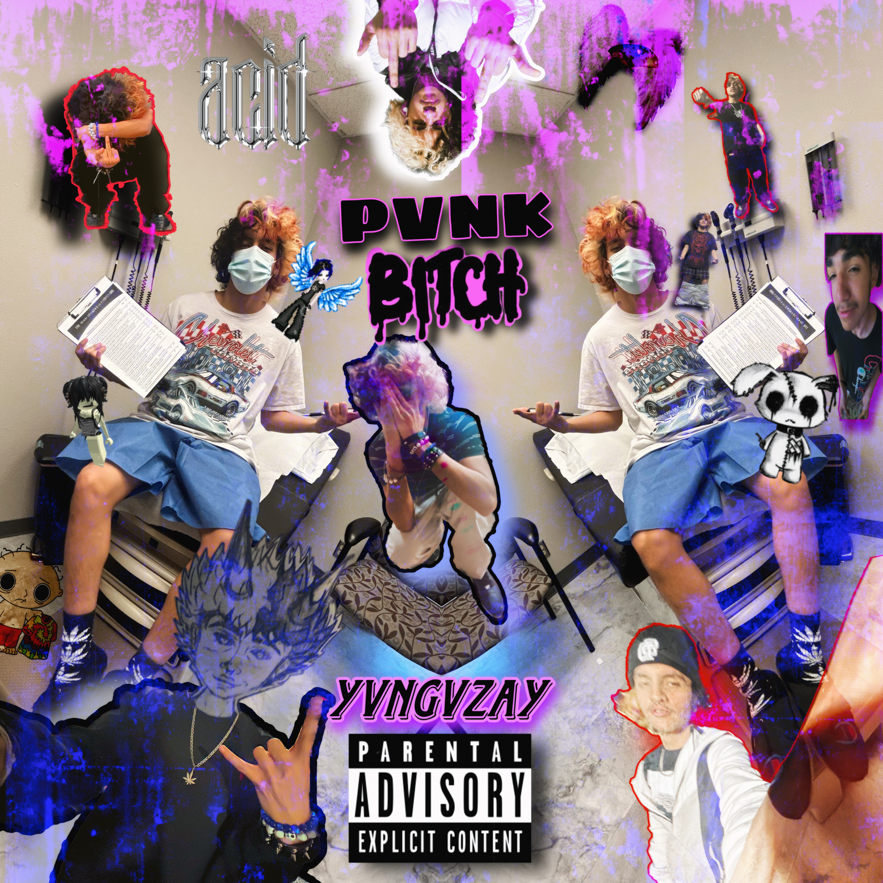 PVNKB!TCH! artwork