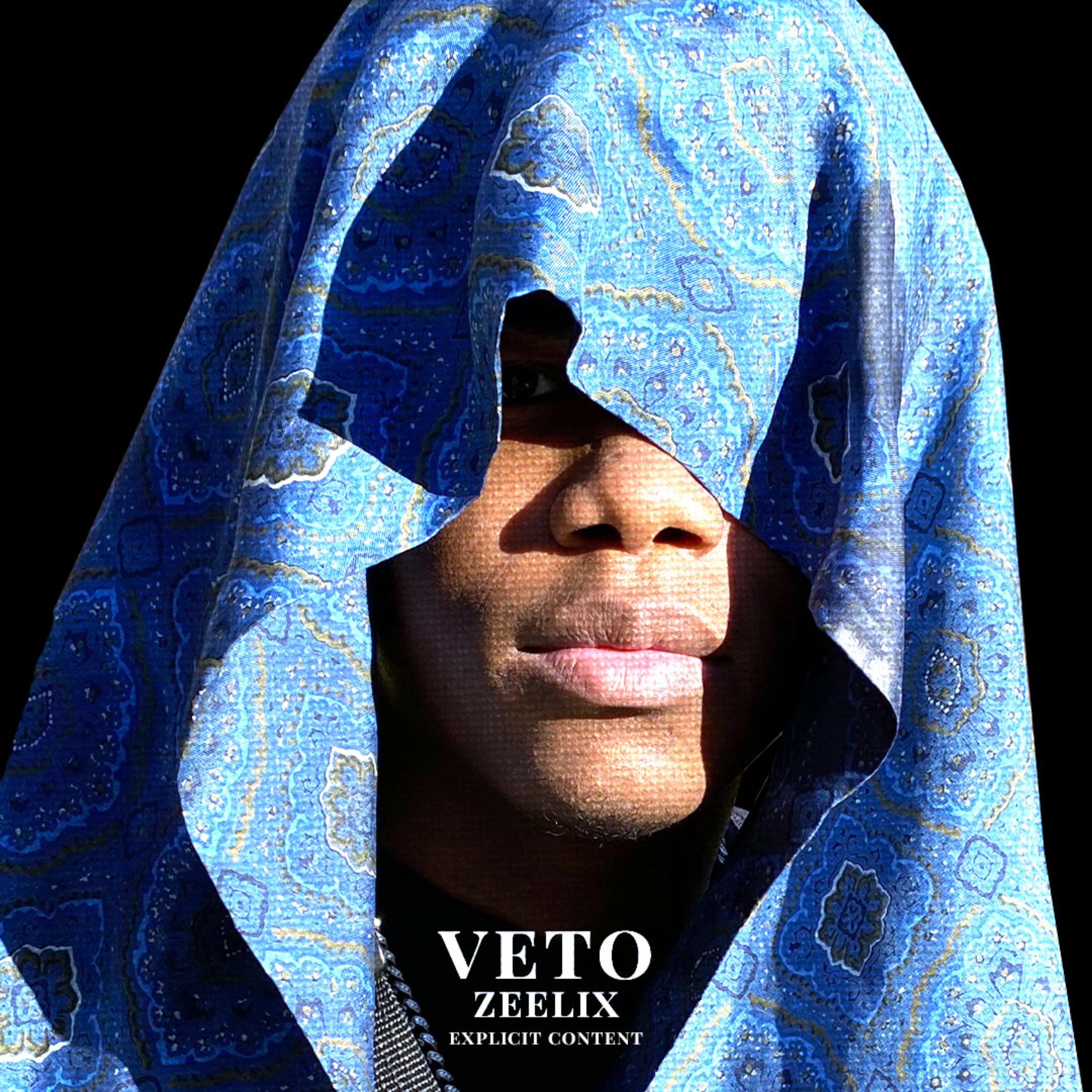 VETO artwork