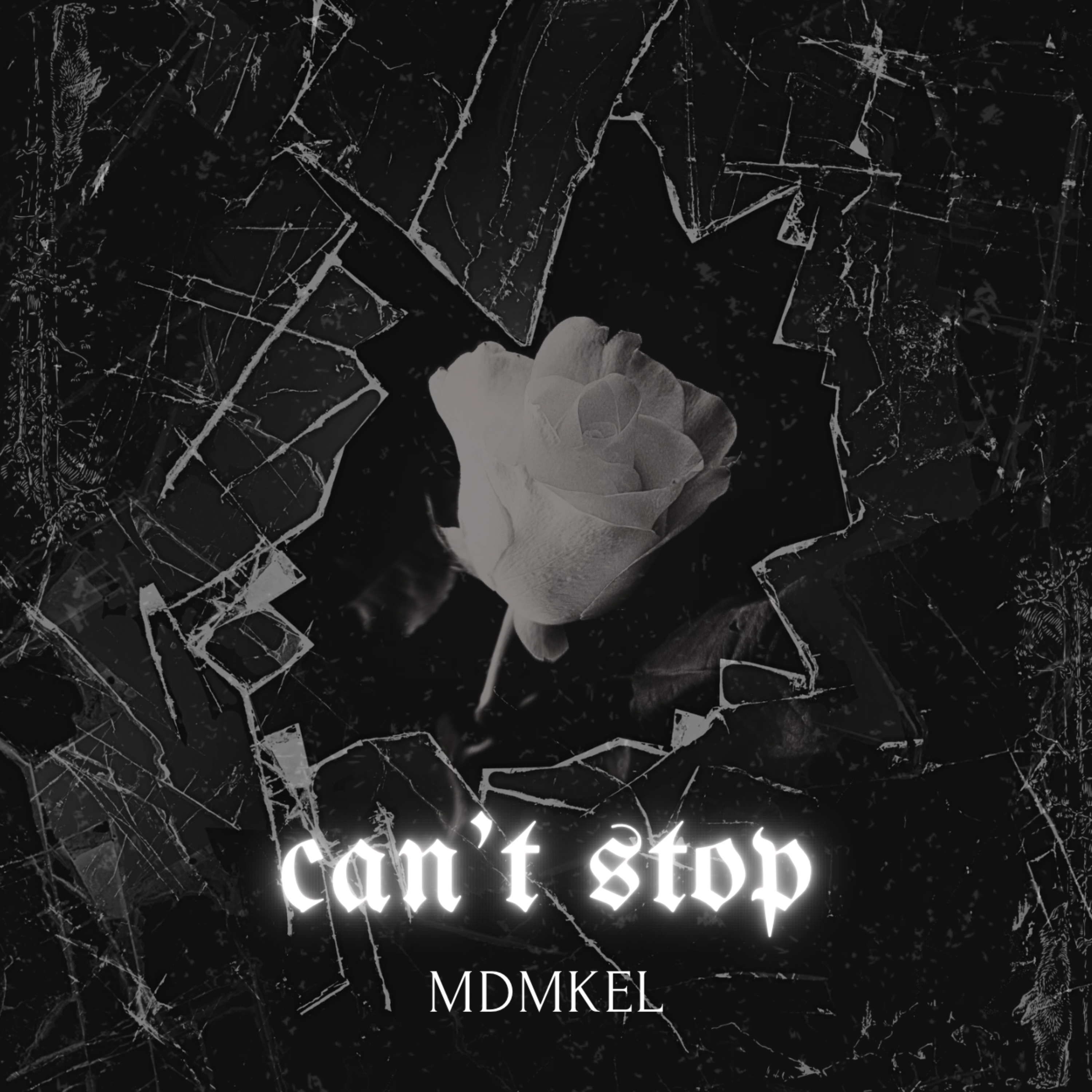 Can’t Stop Won’t Stop artwork