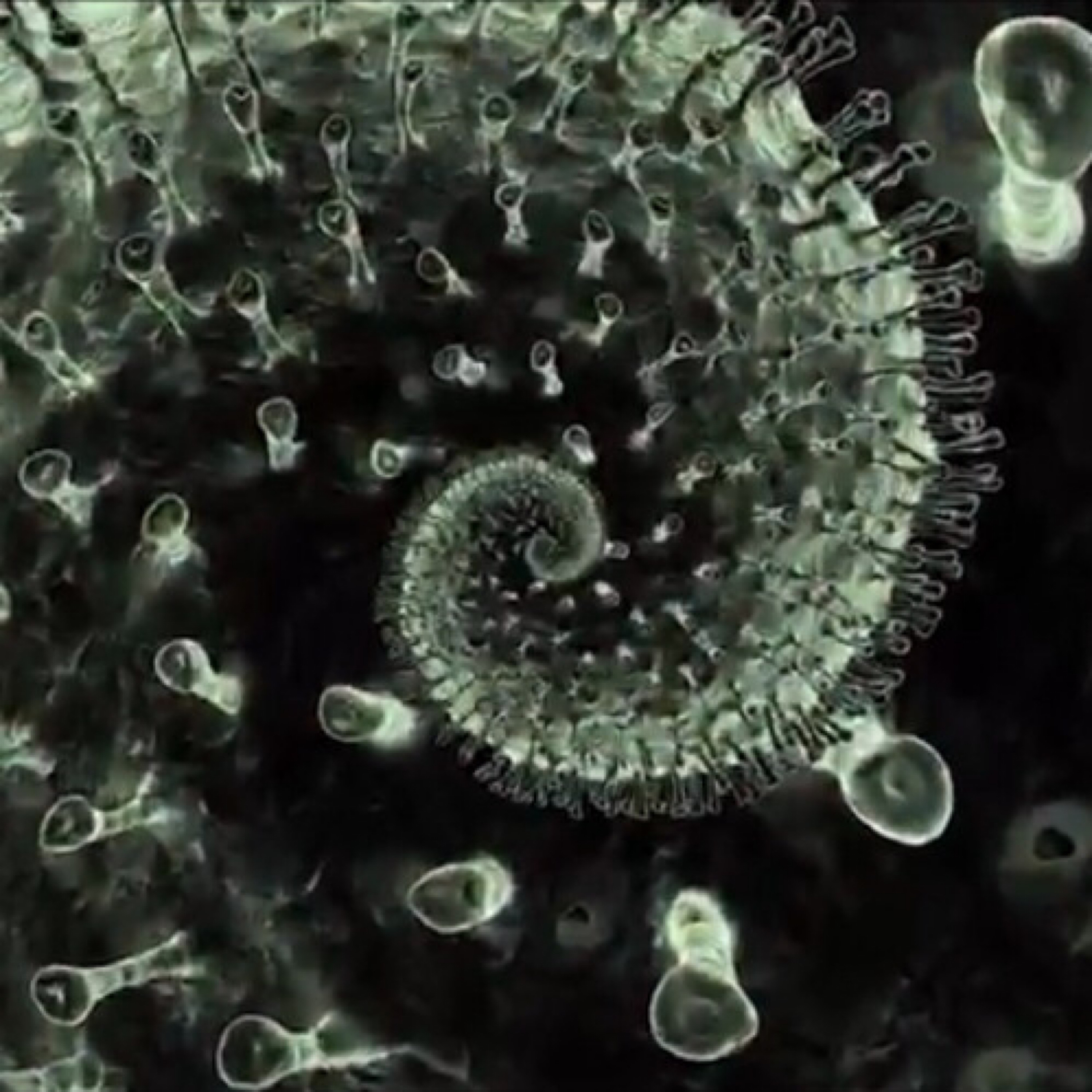 CONTAGIOUS artwork