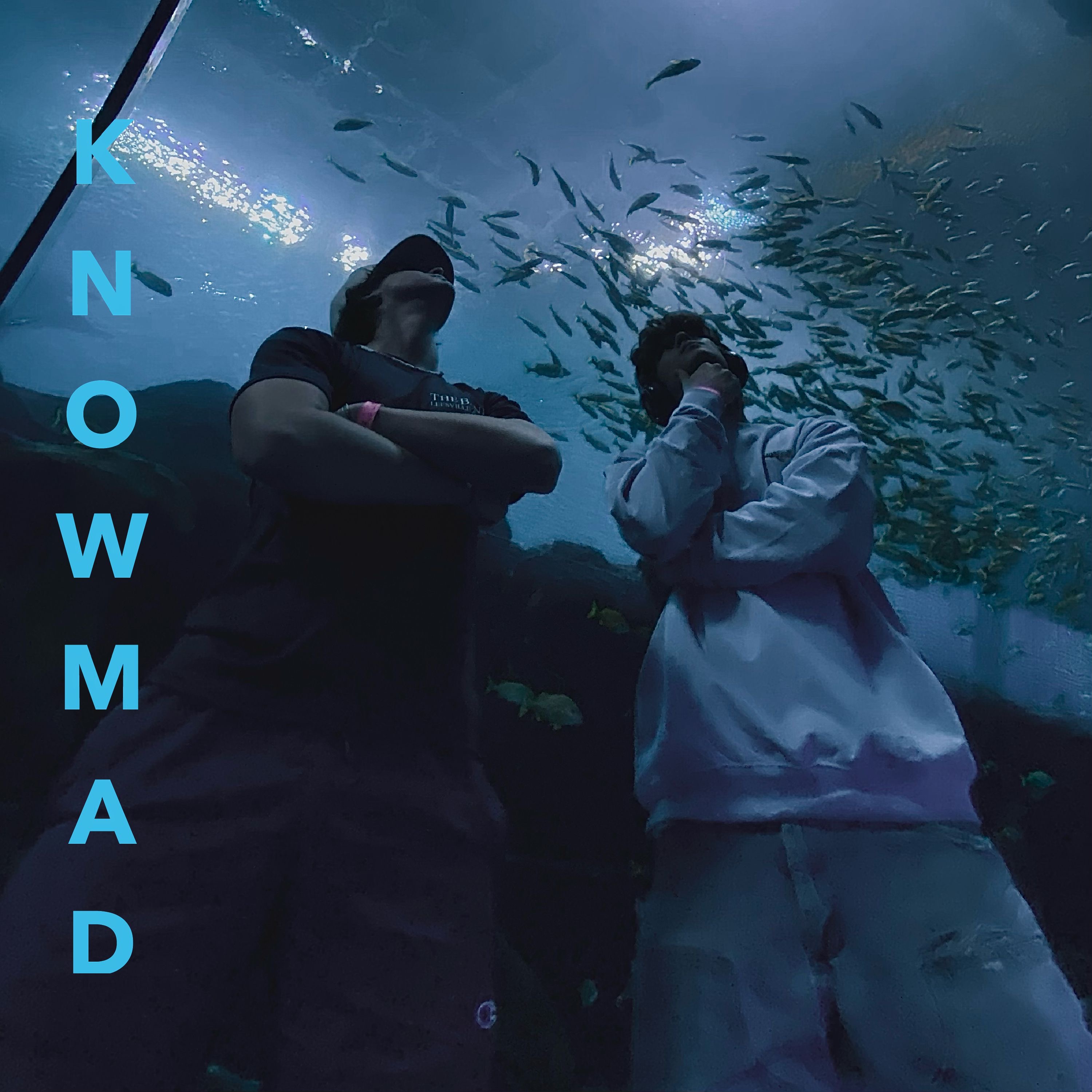 Money Moves artwork