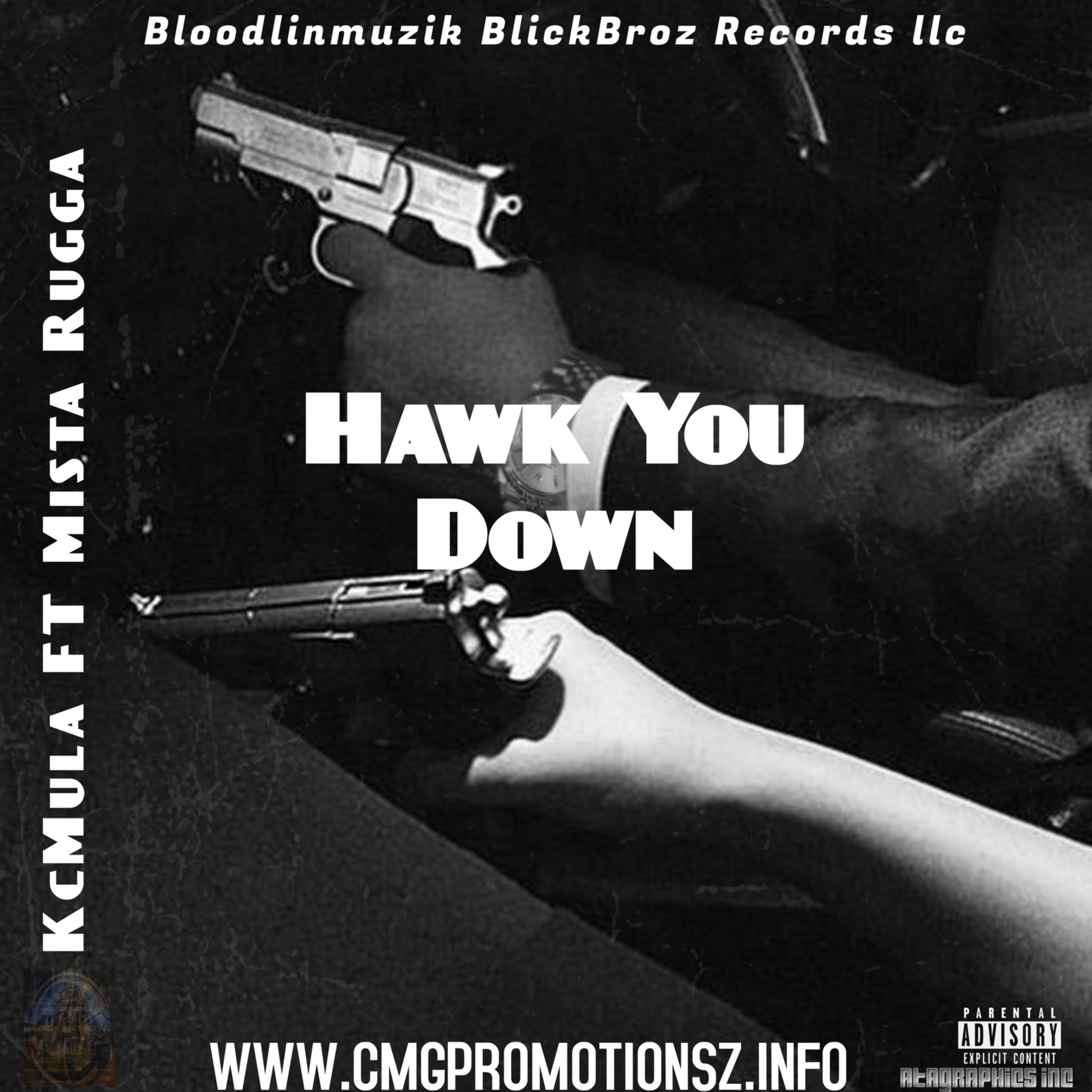 Hawk You Down by Kang Chozen cover art