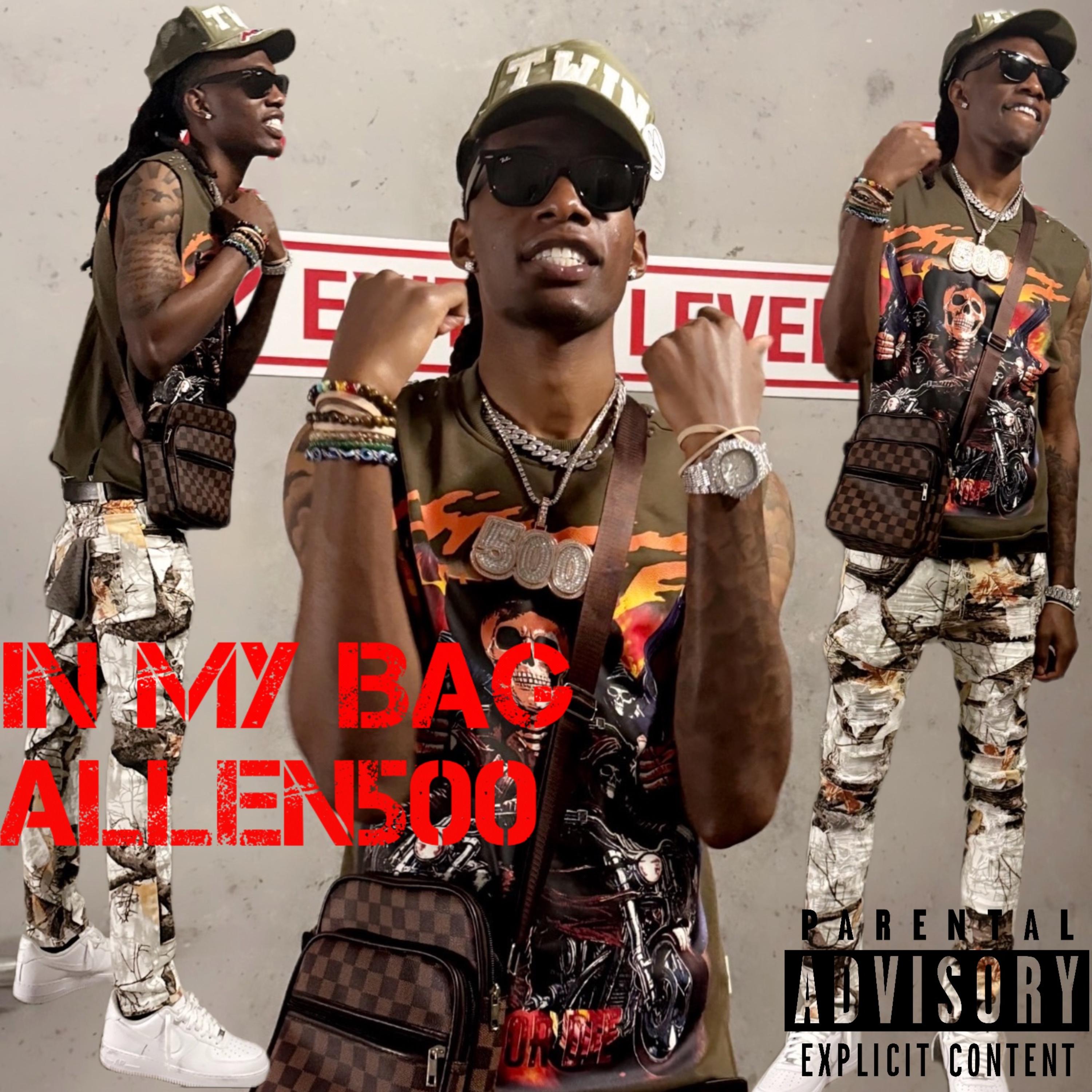 IN MY BAG artwork