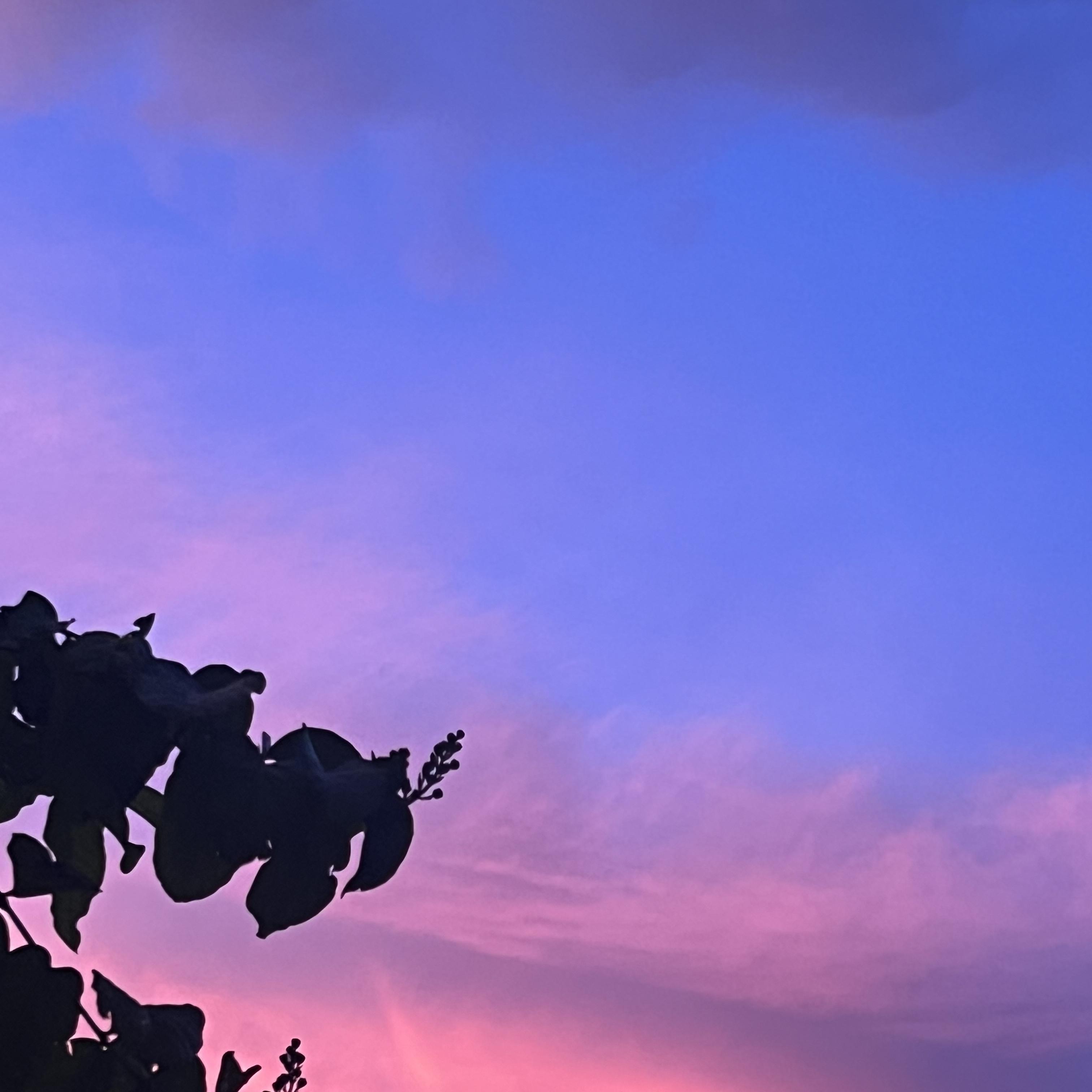 Soul Snatcher artwork