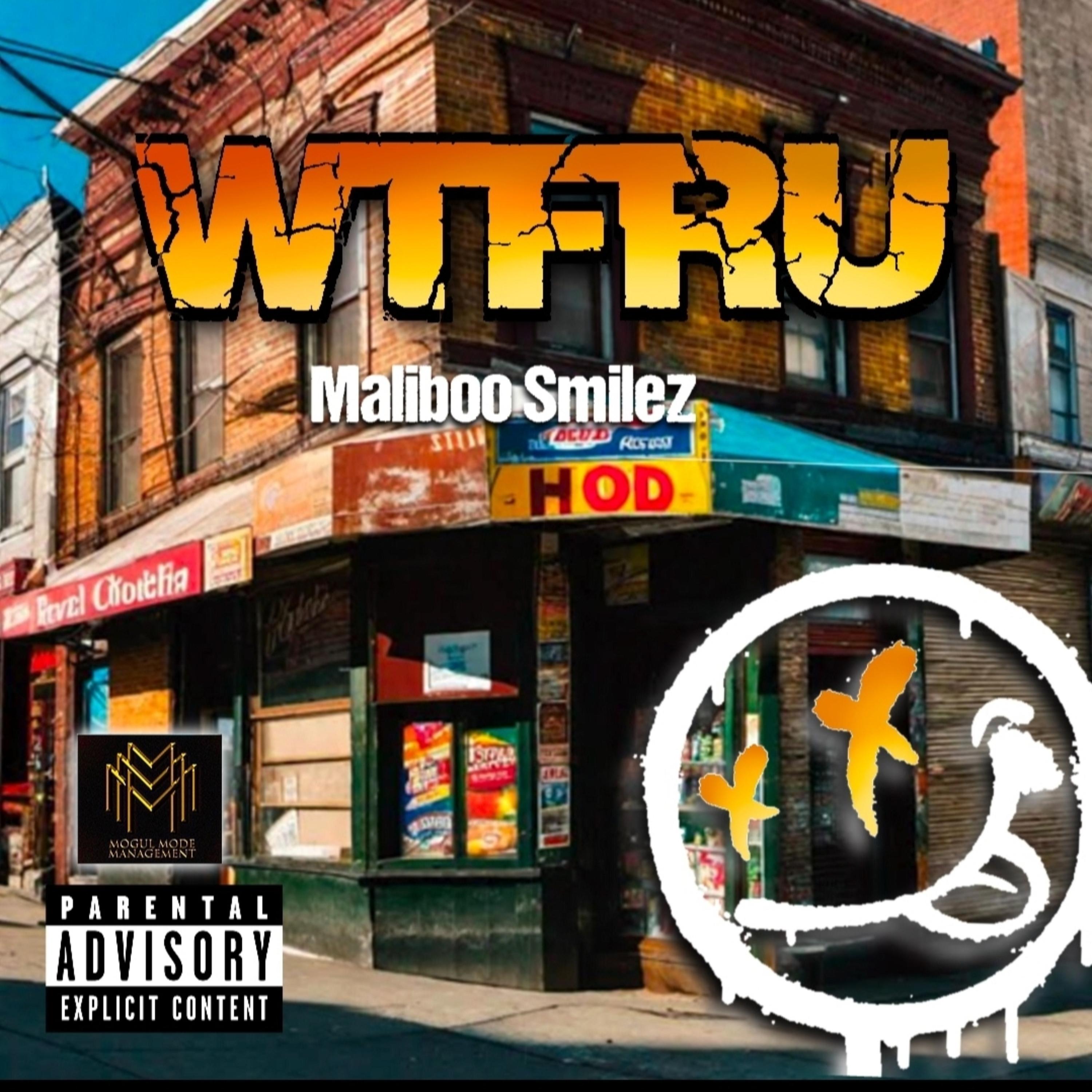 WTFRU by MalibooSmiley cover art