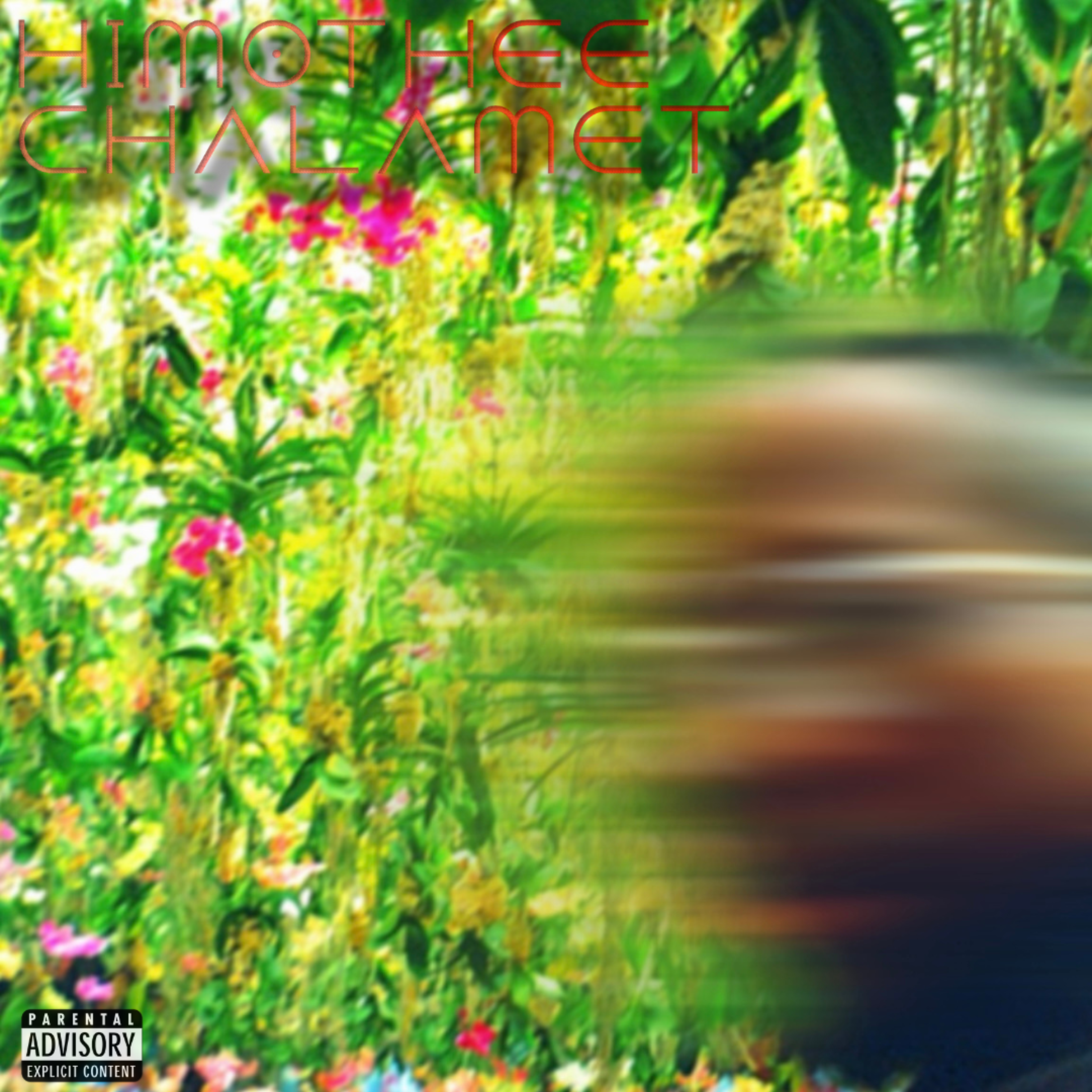 Himothee Chalamet artwork