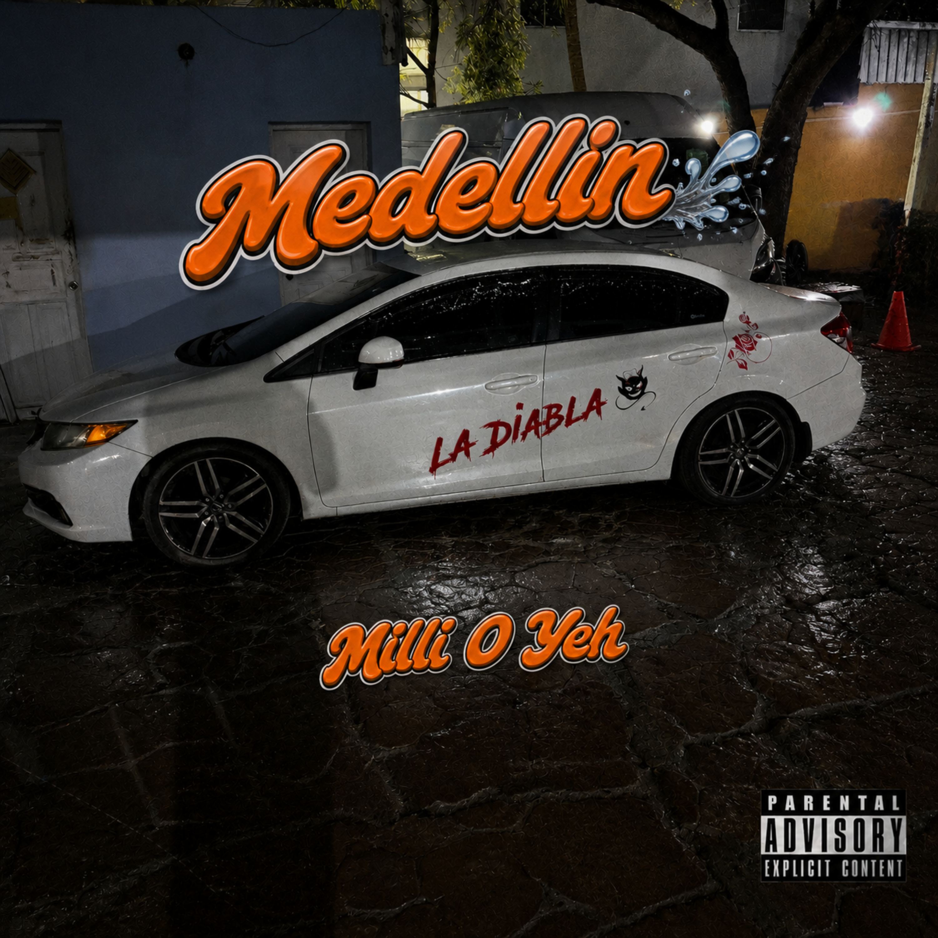 Medellin by Milli O Yeh cover art