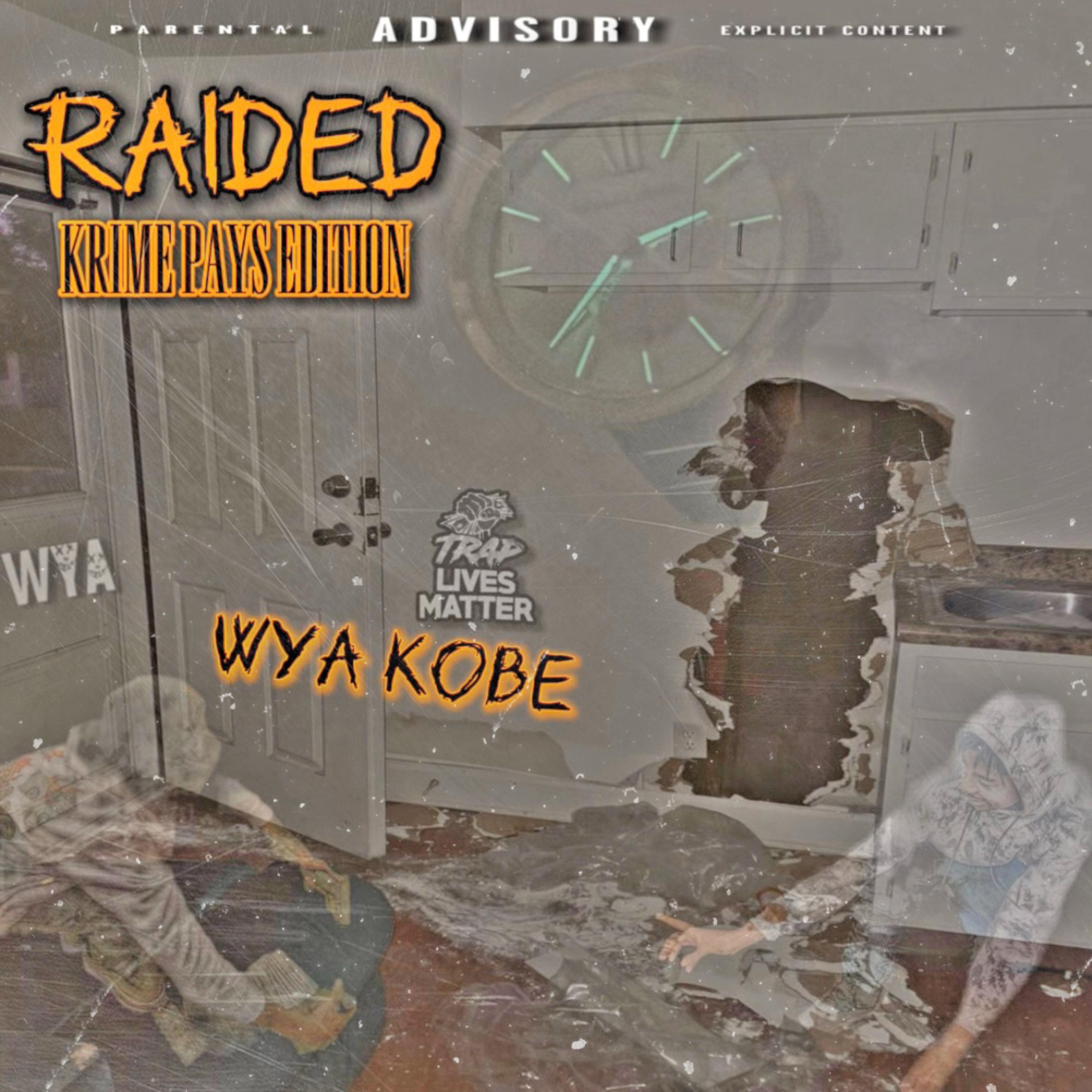RAIDED: Krime Pays artwork