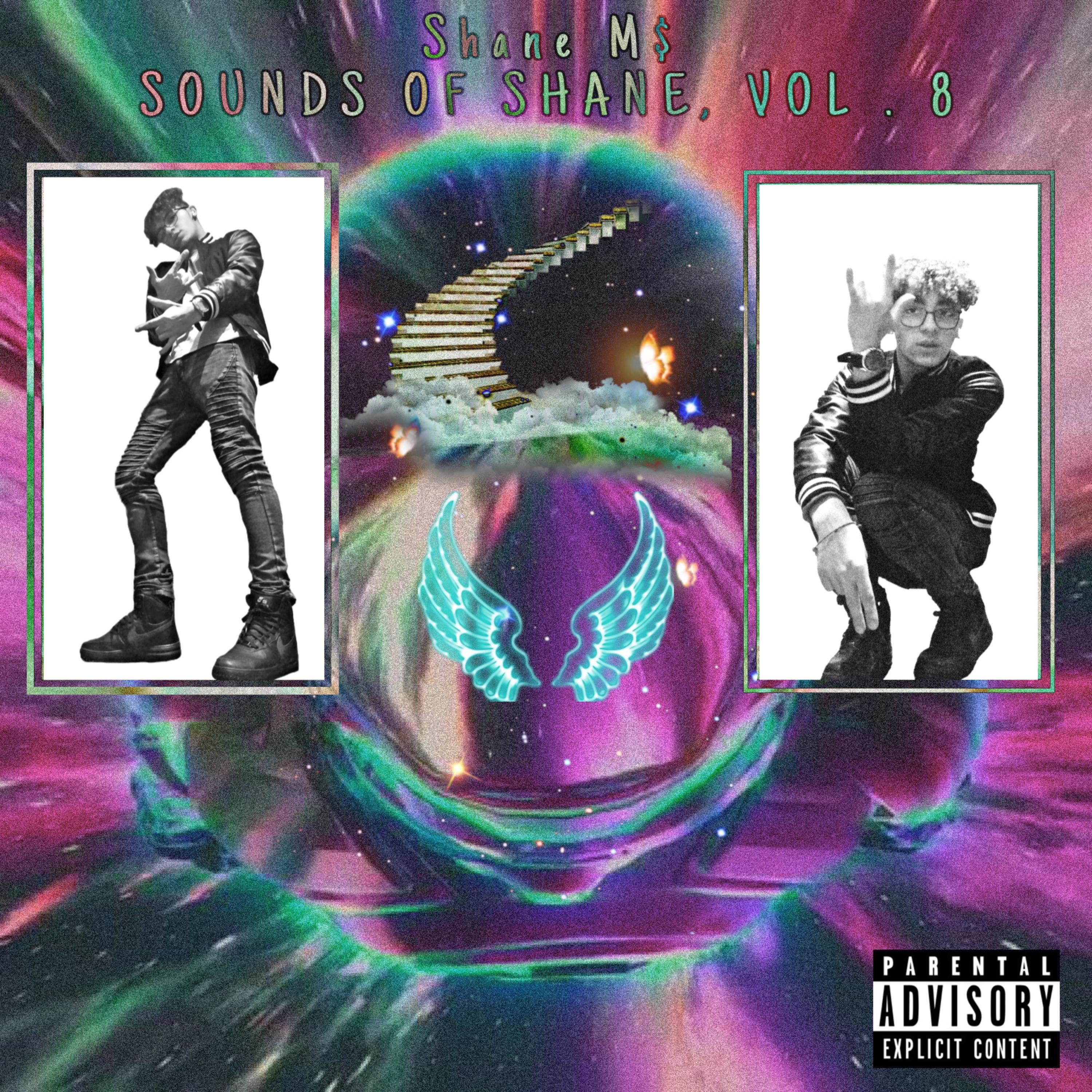 Sounds Of Shane, Vol. 8 artwork