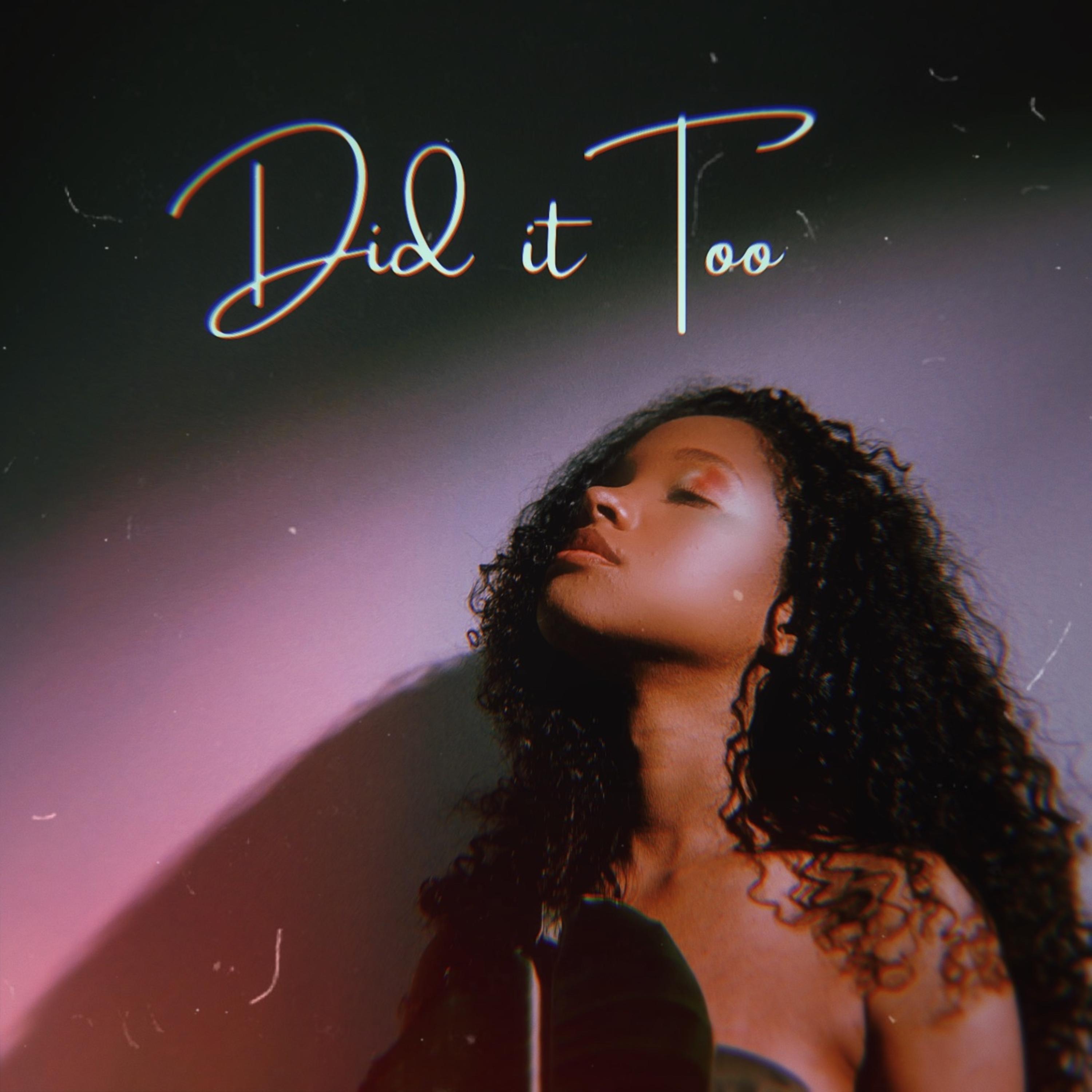 Did It Too artwork