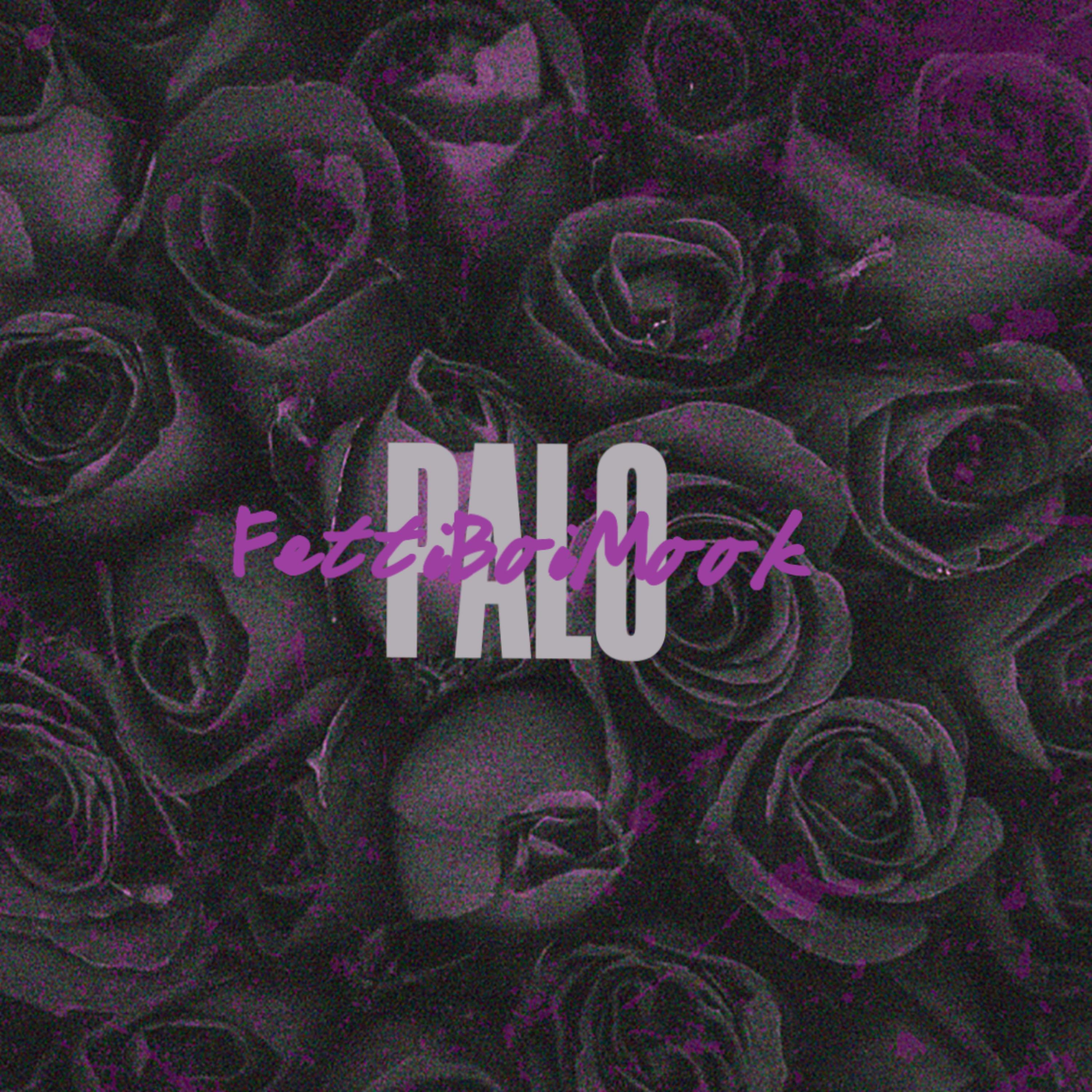 PALO artwork