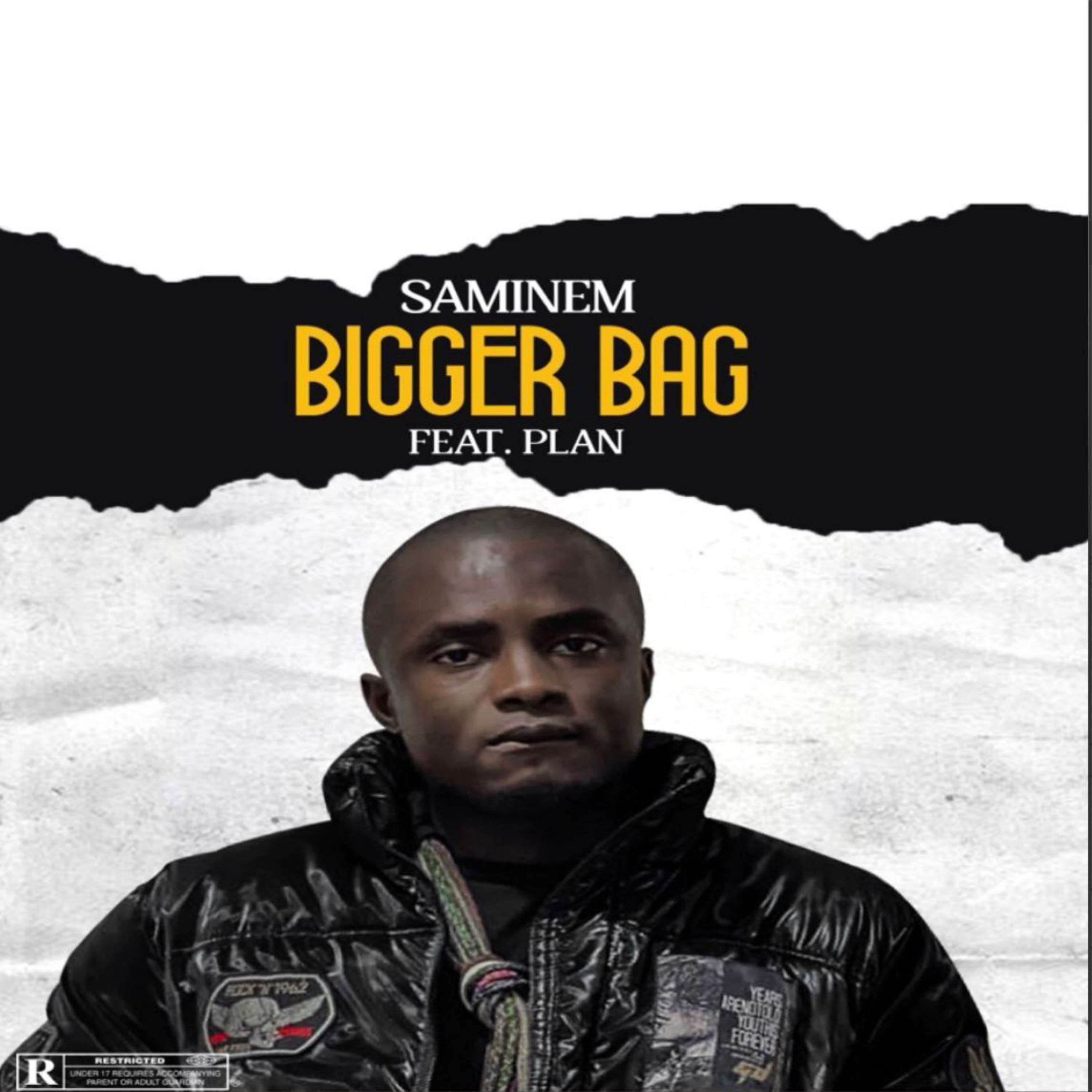 All i want is Bigger Bag artwork