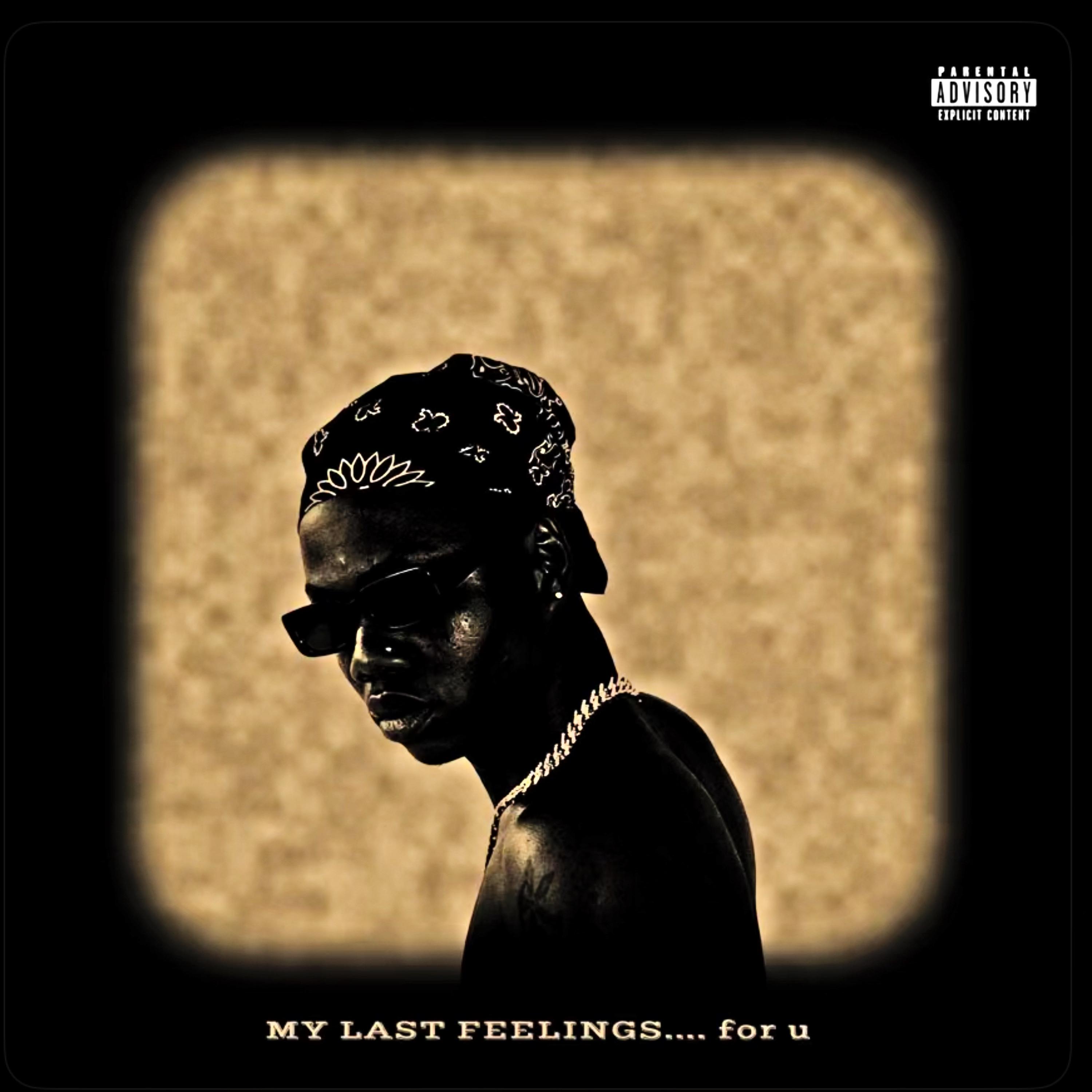MY LAST FEELINGS…..for u artwork
