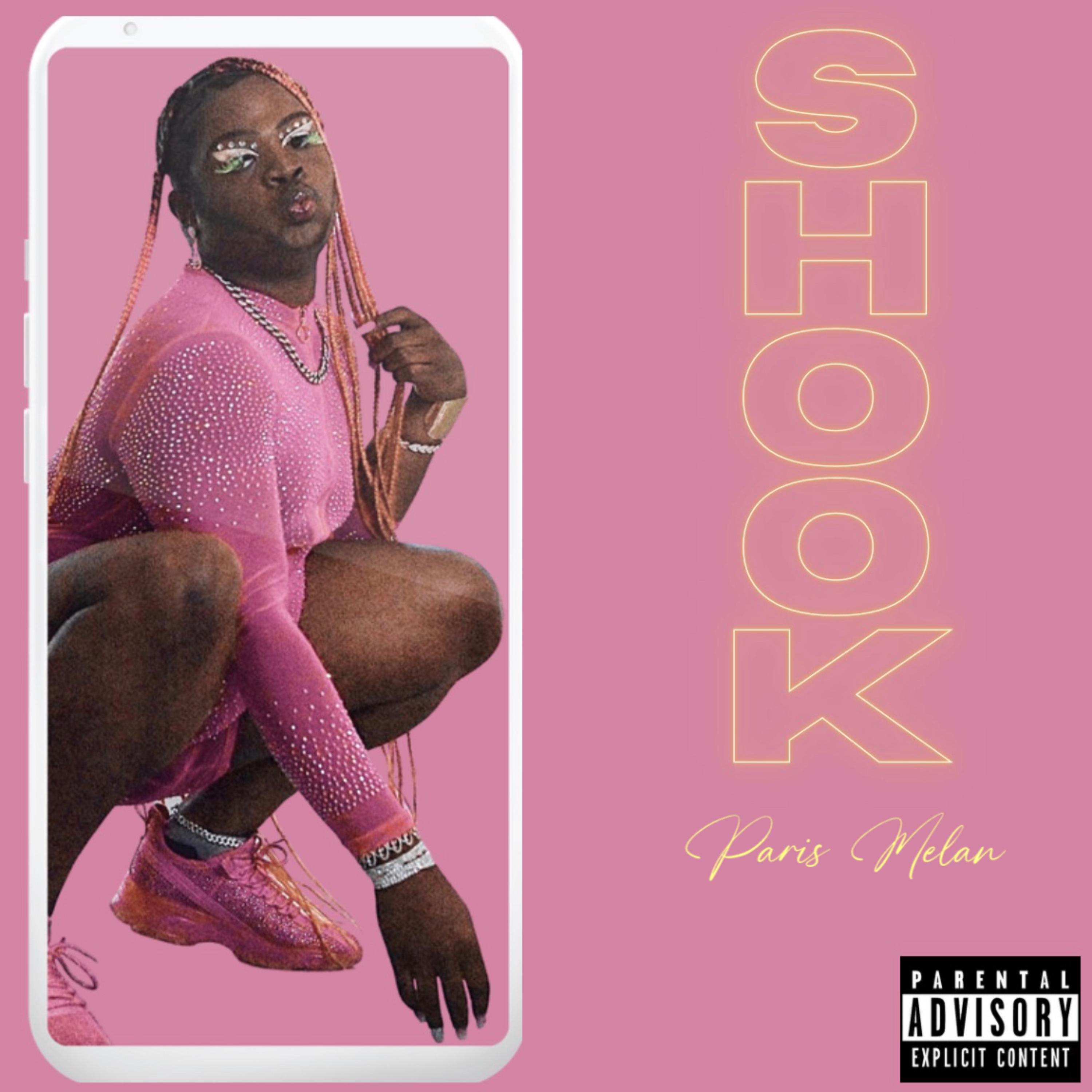 SHOOK by Paris Melan cover art