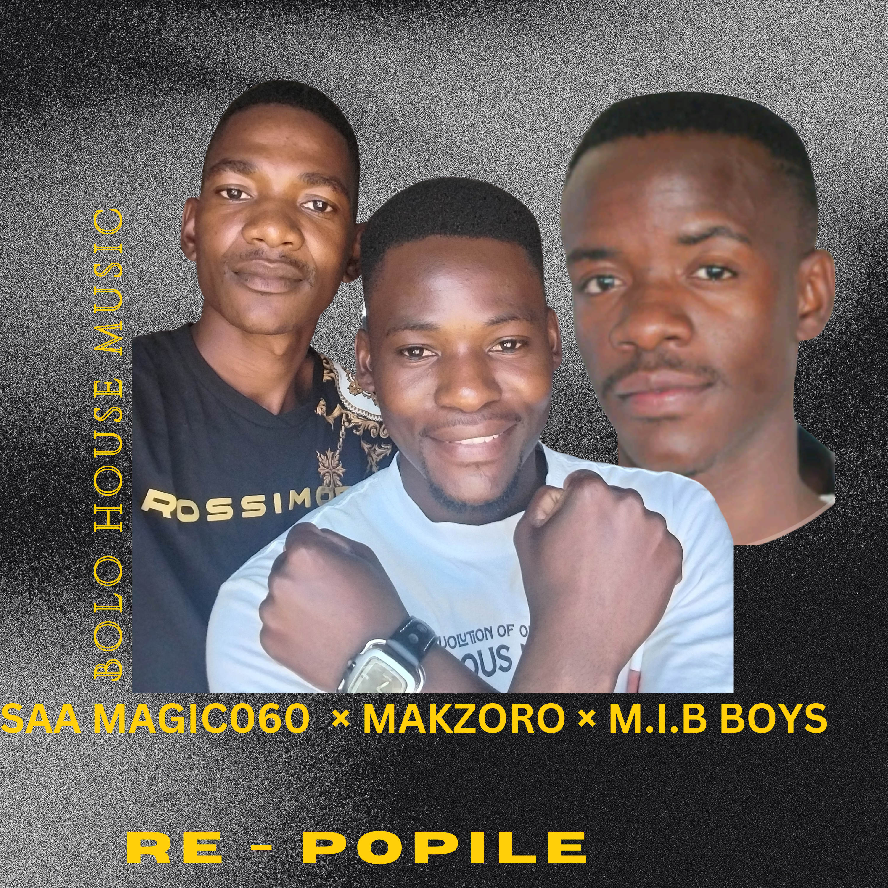 Re-Popile artwork