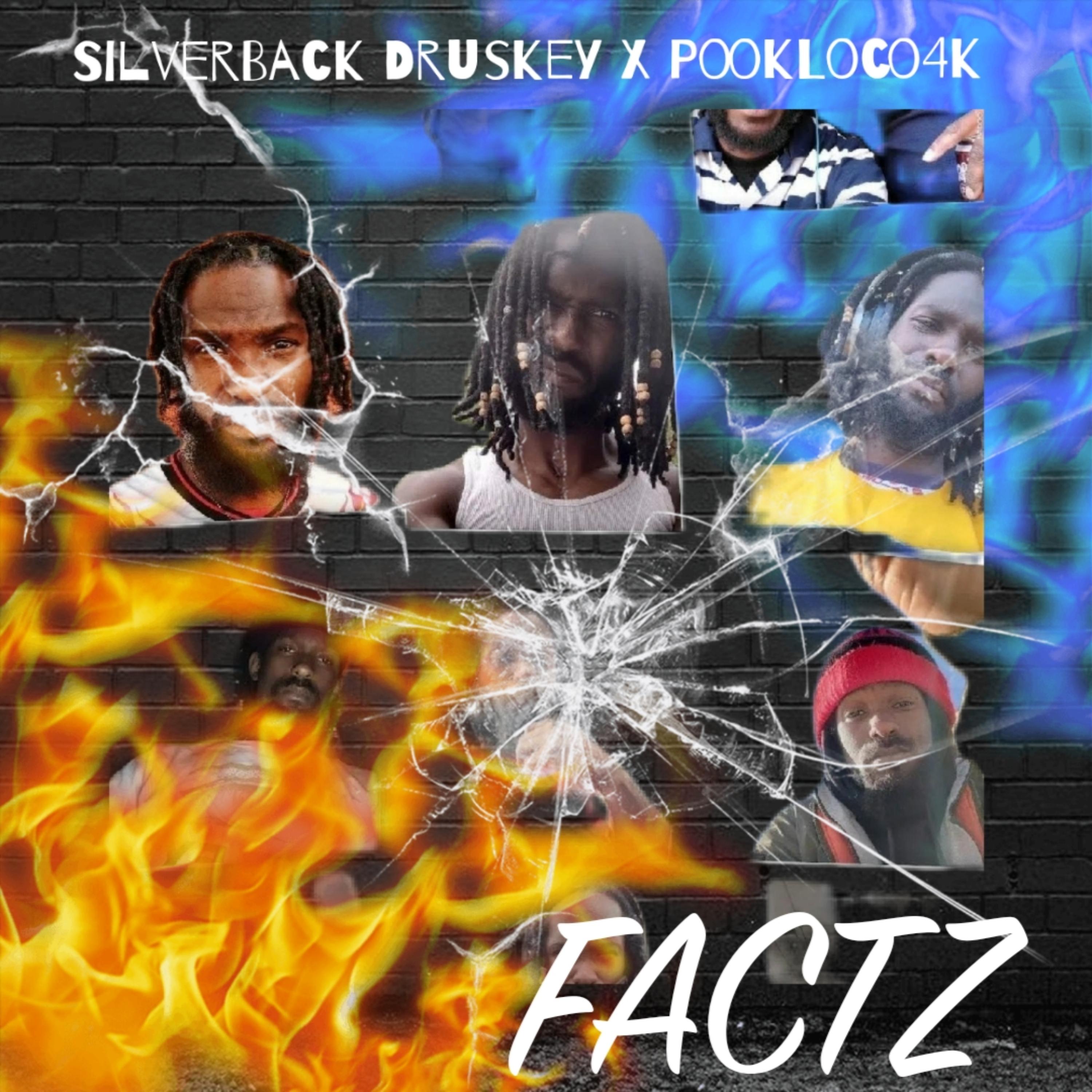 Facz artwork