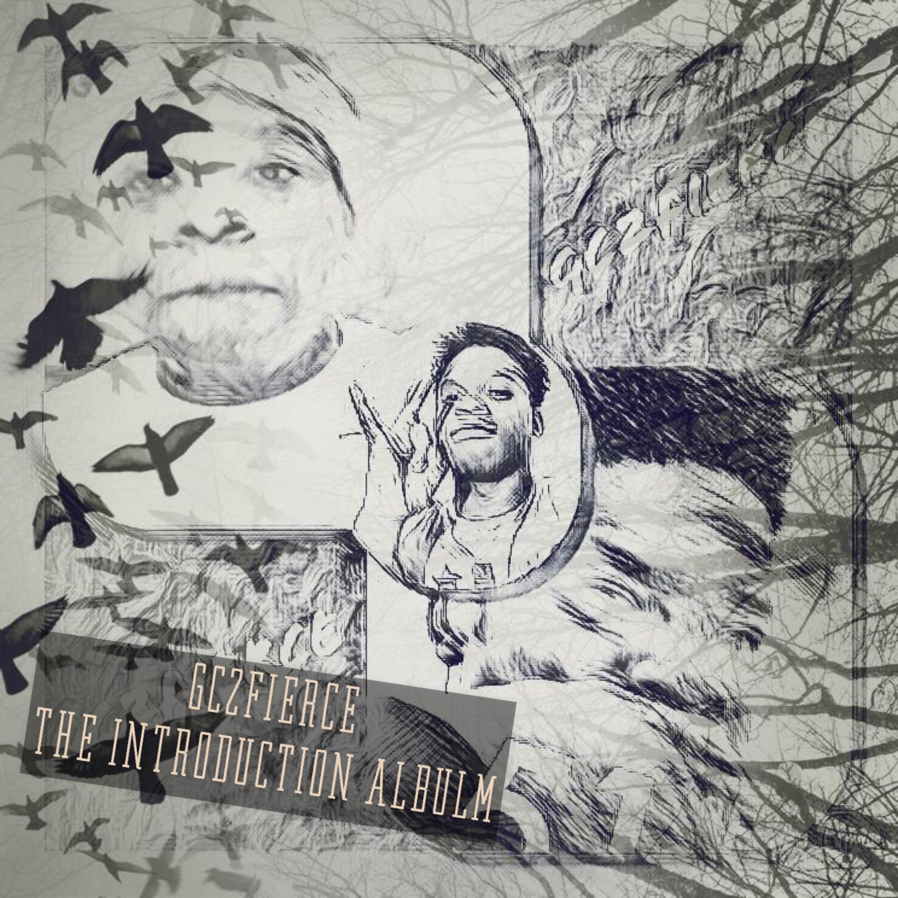 The Introduction artwork