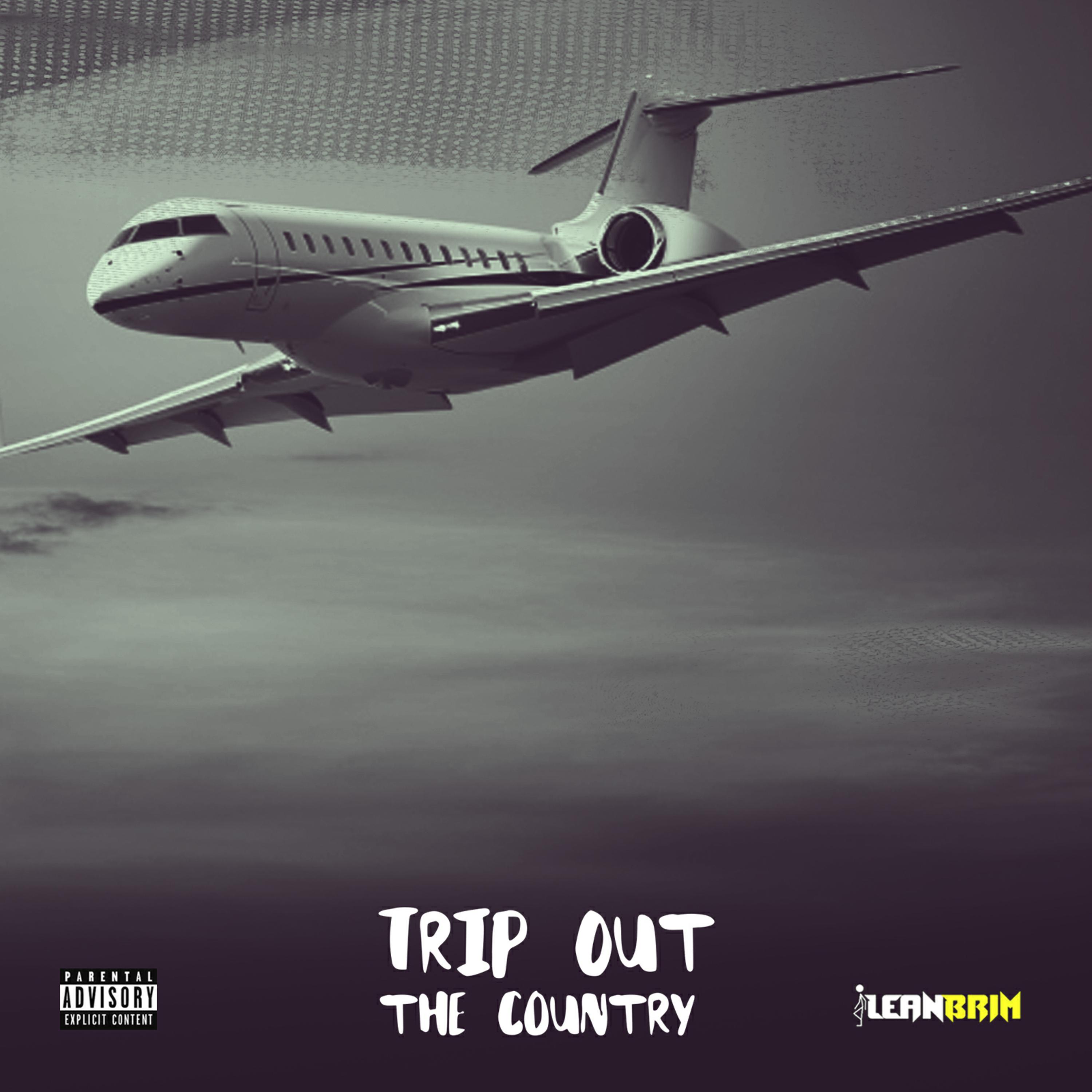 Trip Out the Country artwork