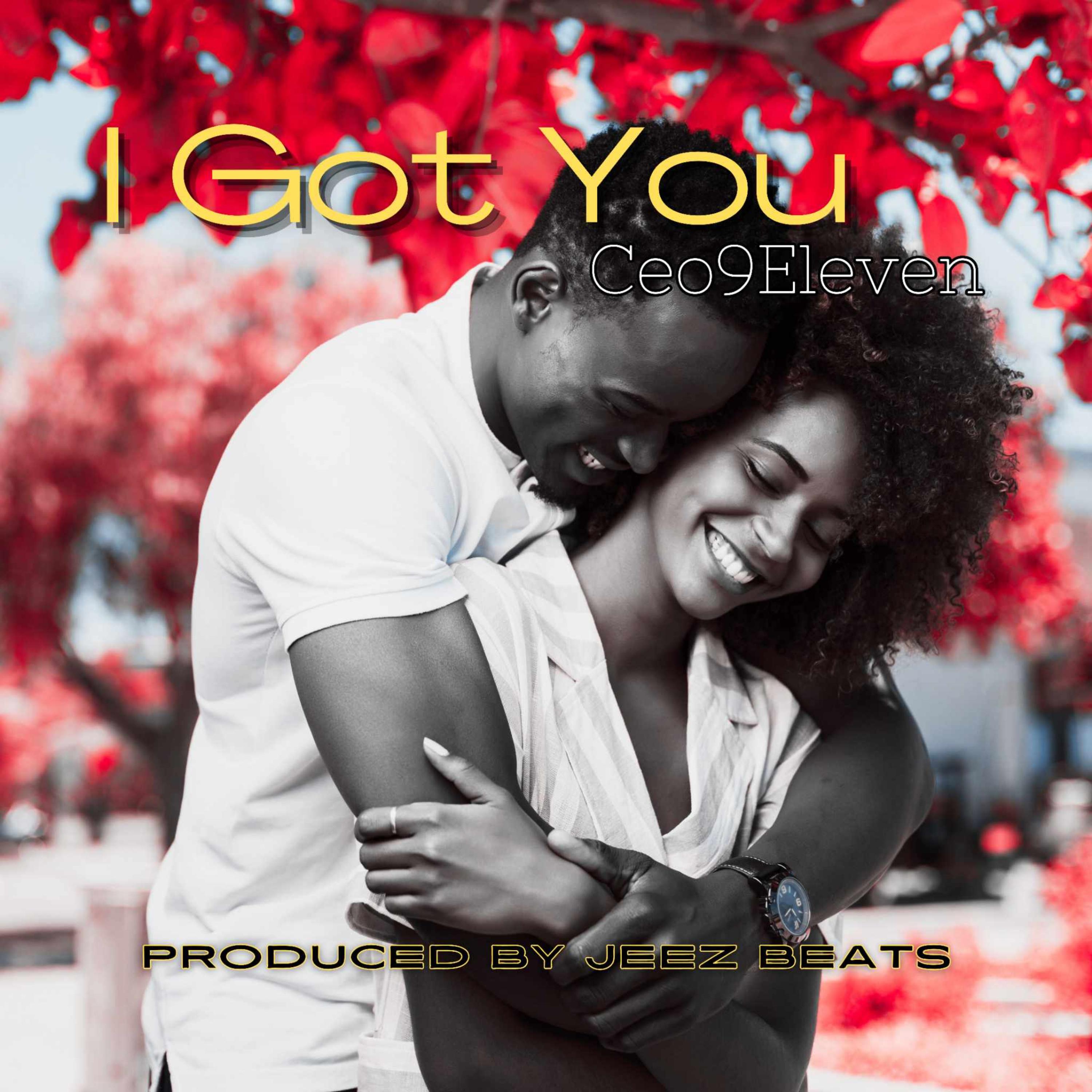 I Got You artwork