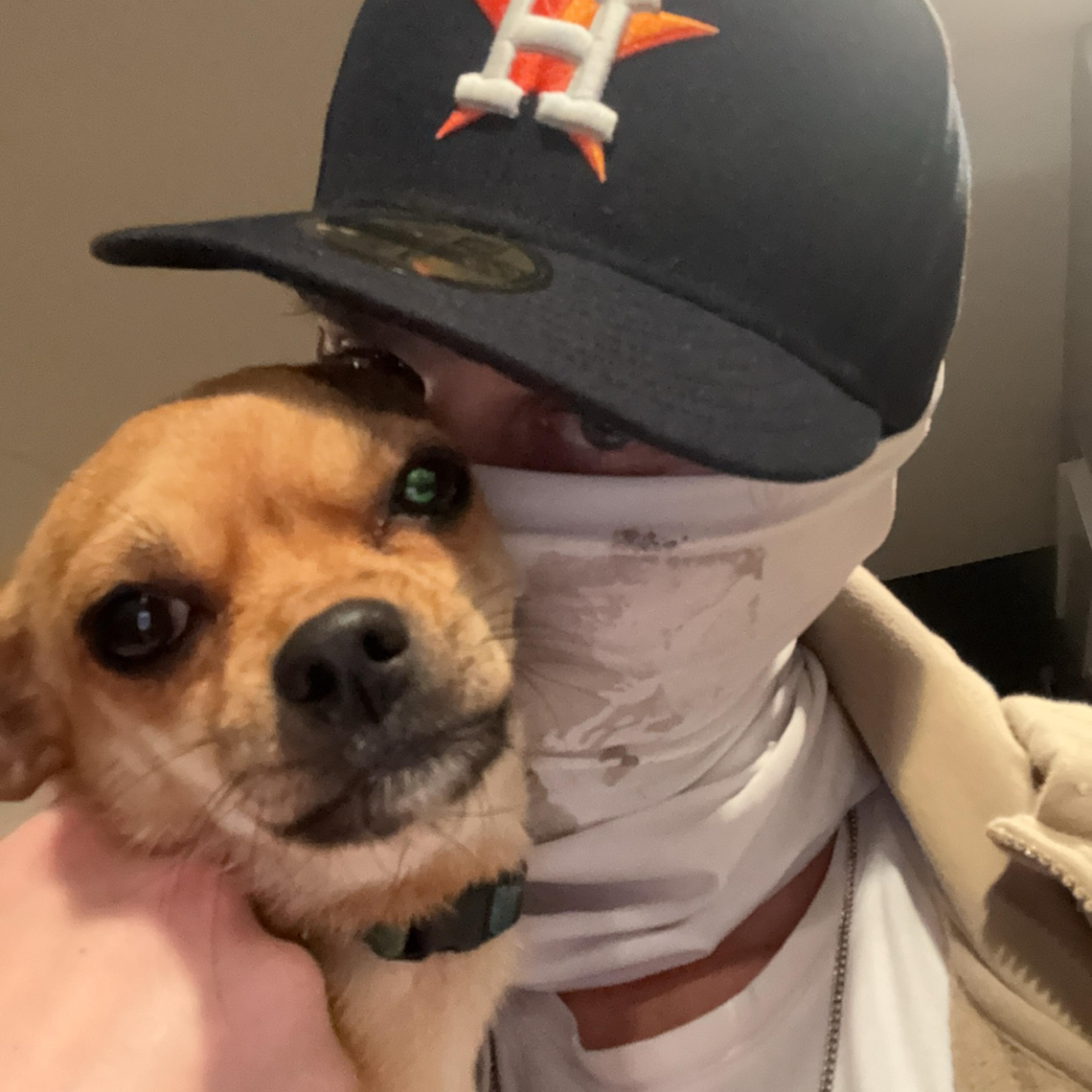 THE HEADLESS HORSEMAN artwork