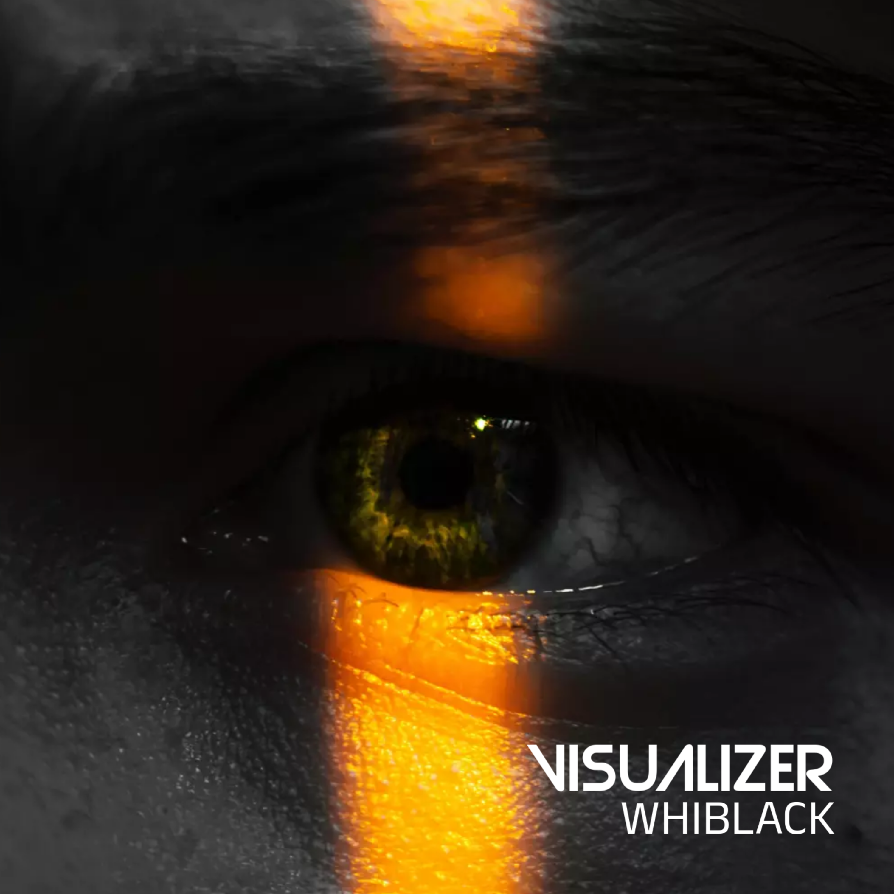 VISUALIZER artwork