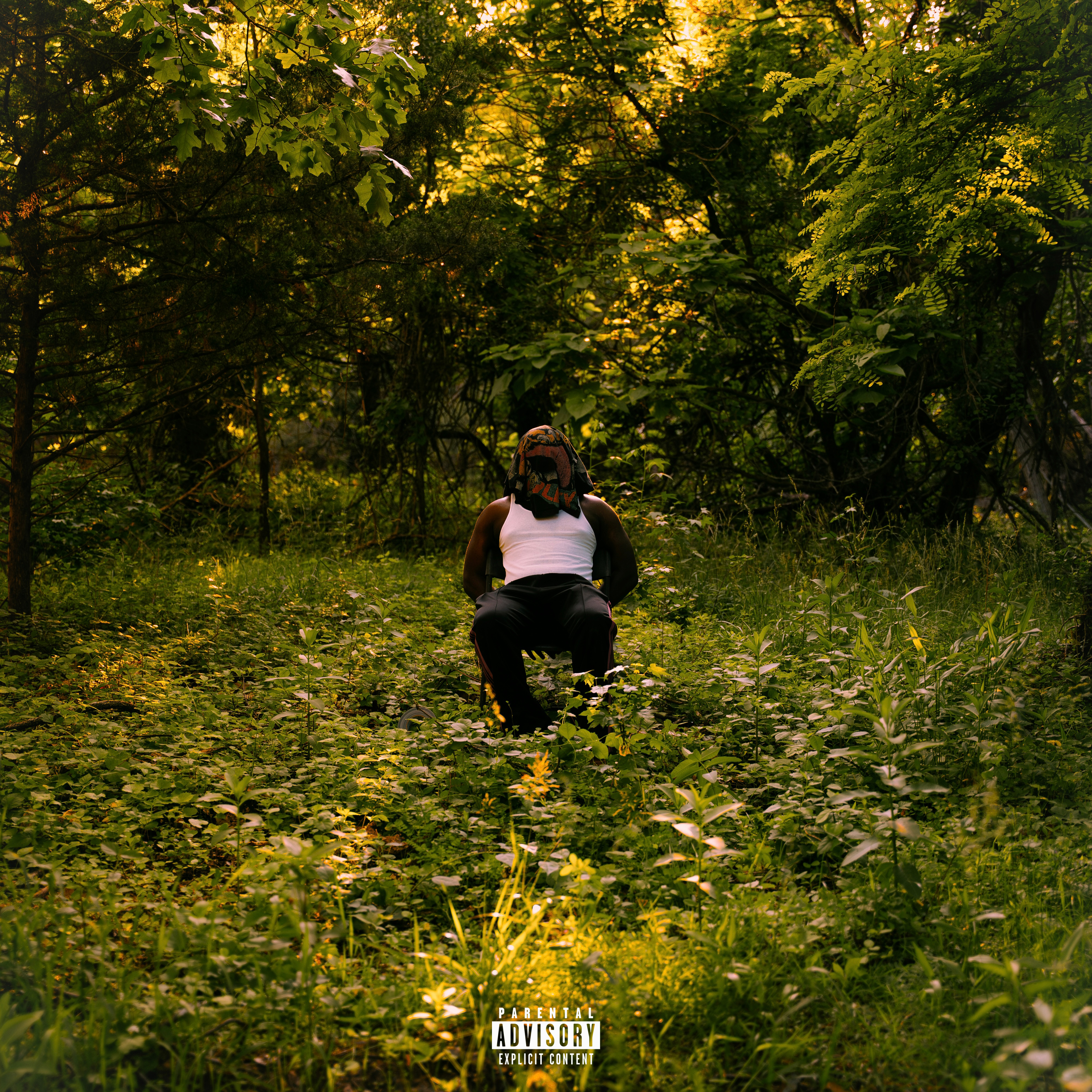 Moments Before Destruction artwork