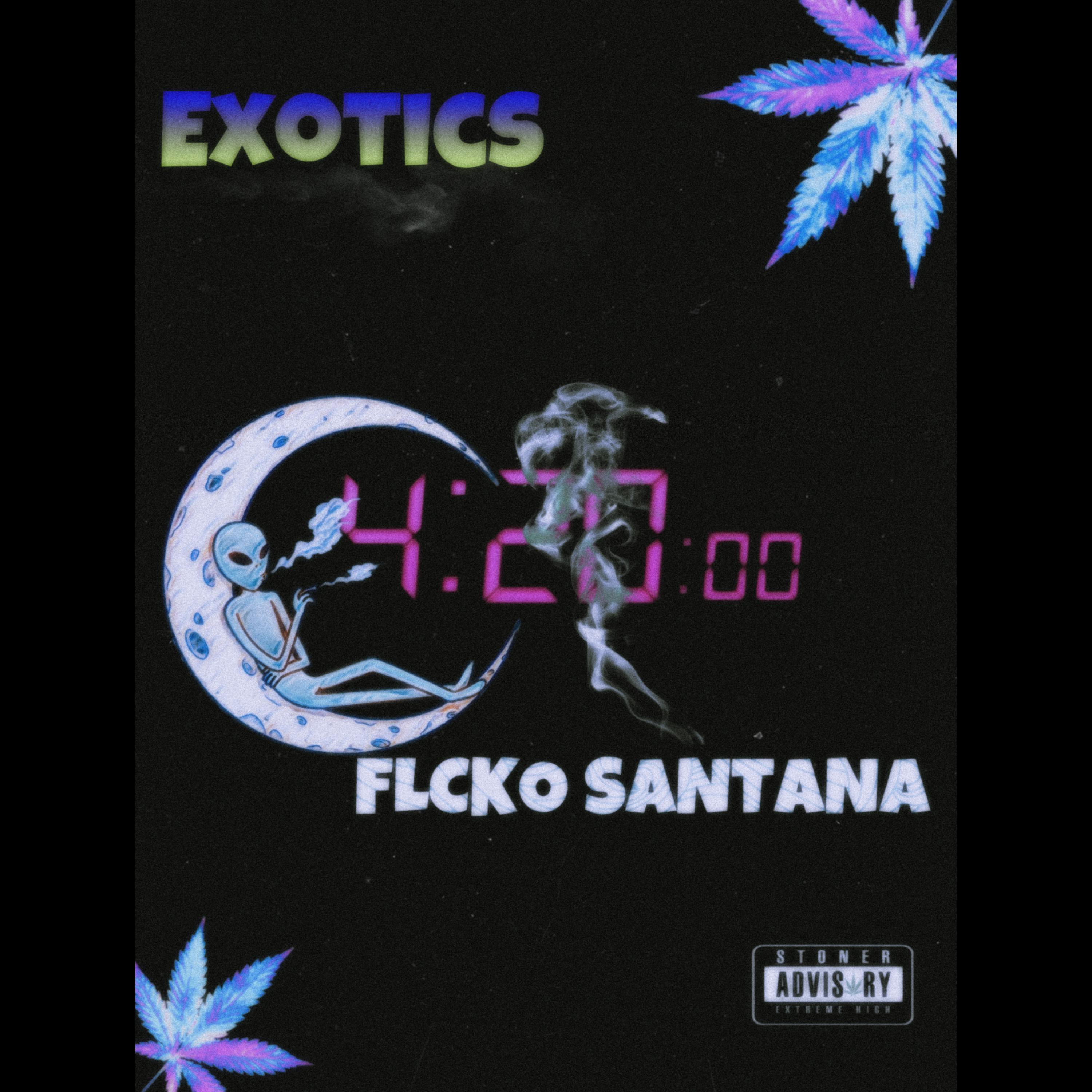 EXOTICS artwork