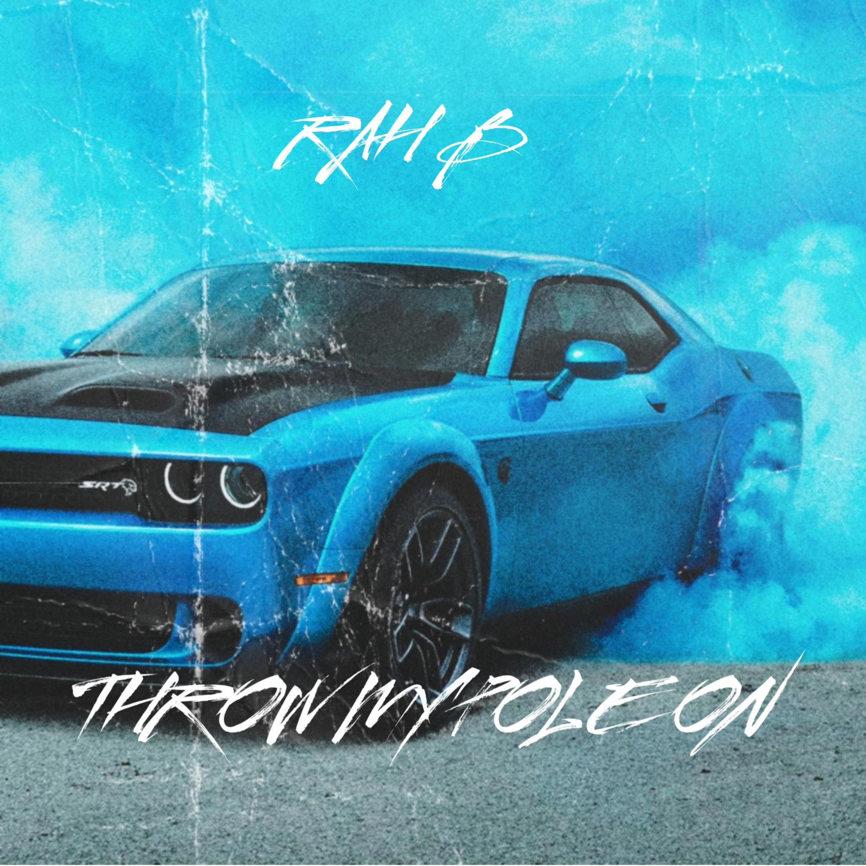 THROW MY POLE ON artwork