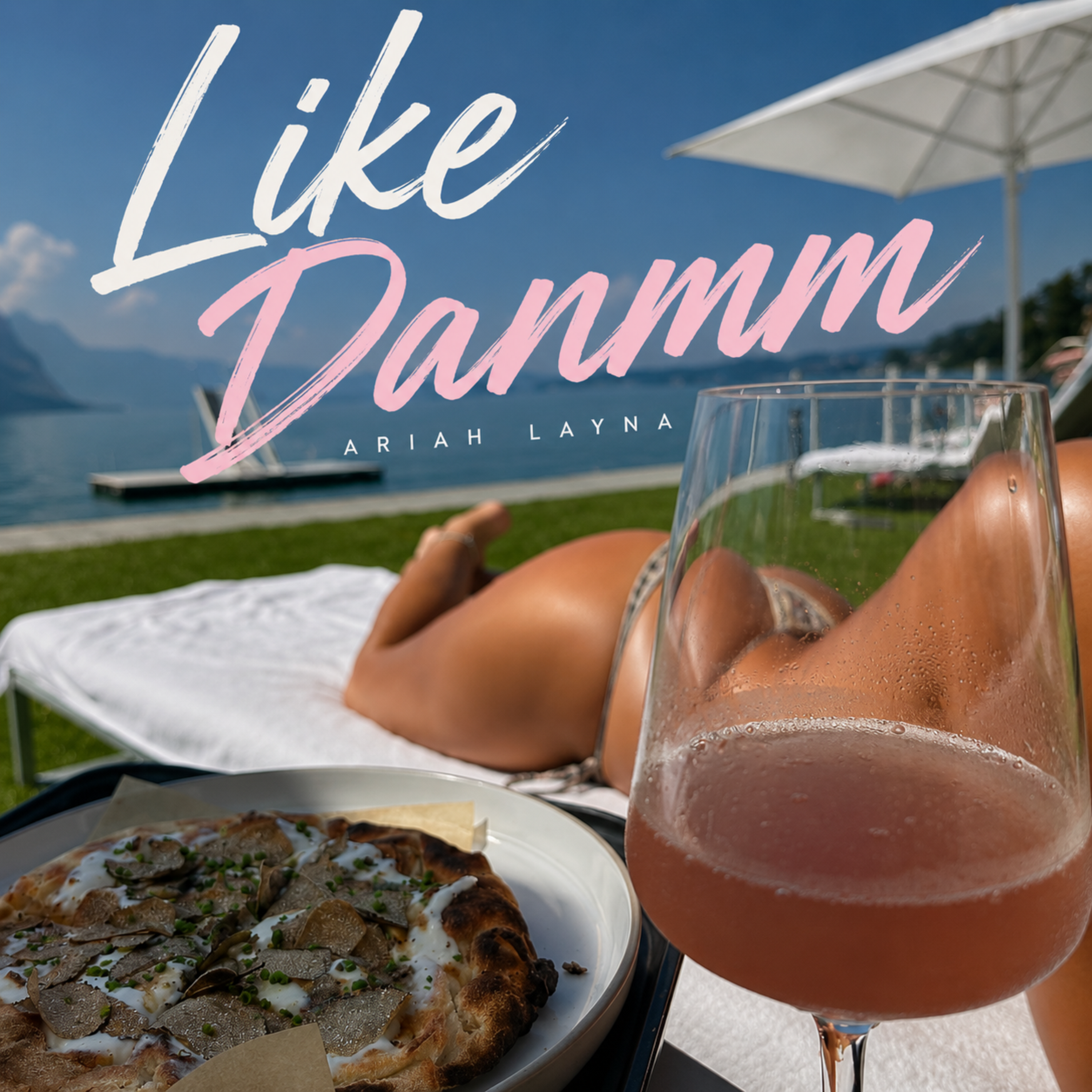 Like Danmm by Ariah Layna cover art