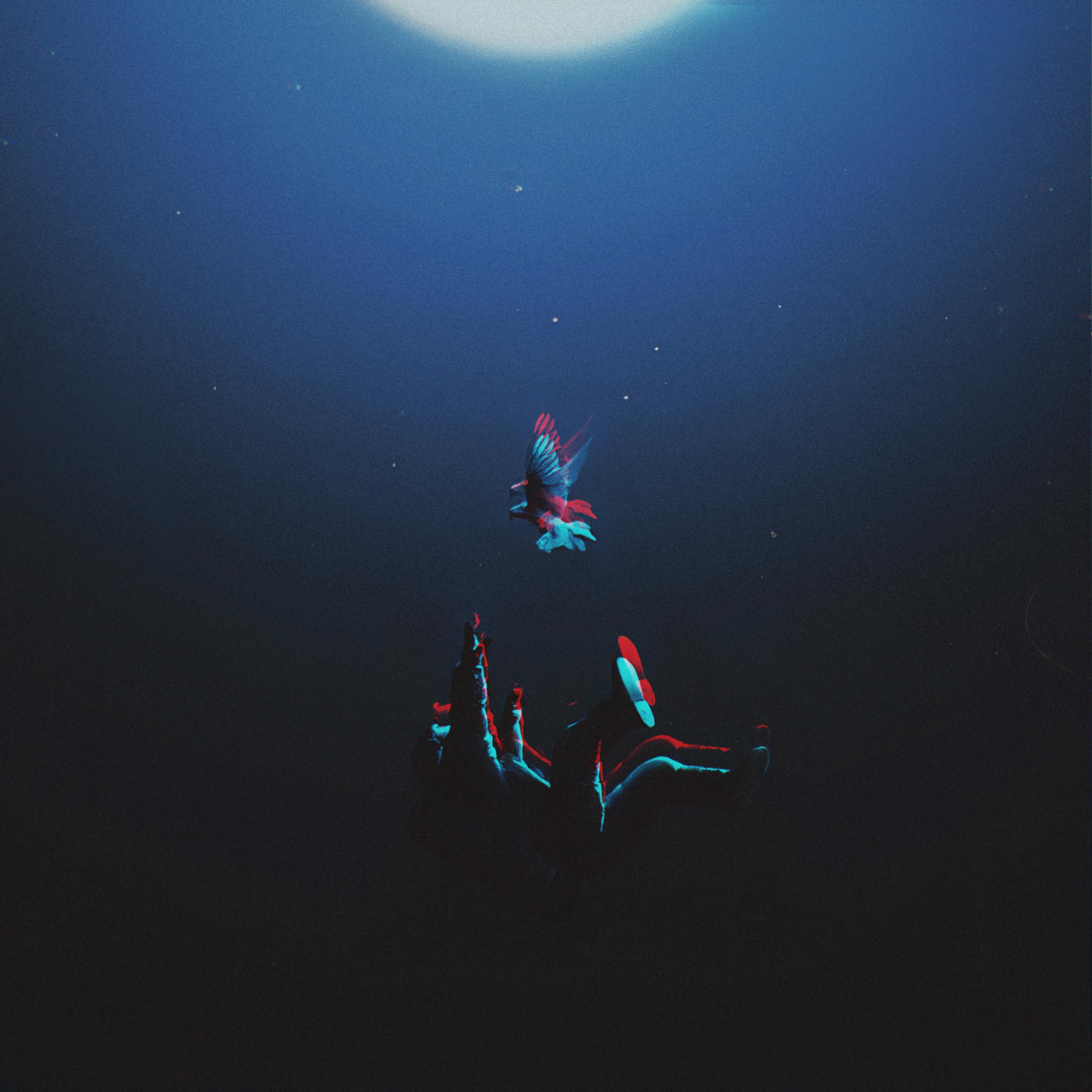 No Entendía artwork