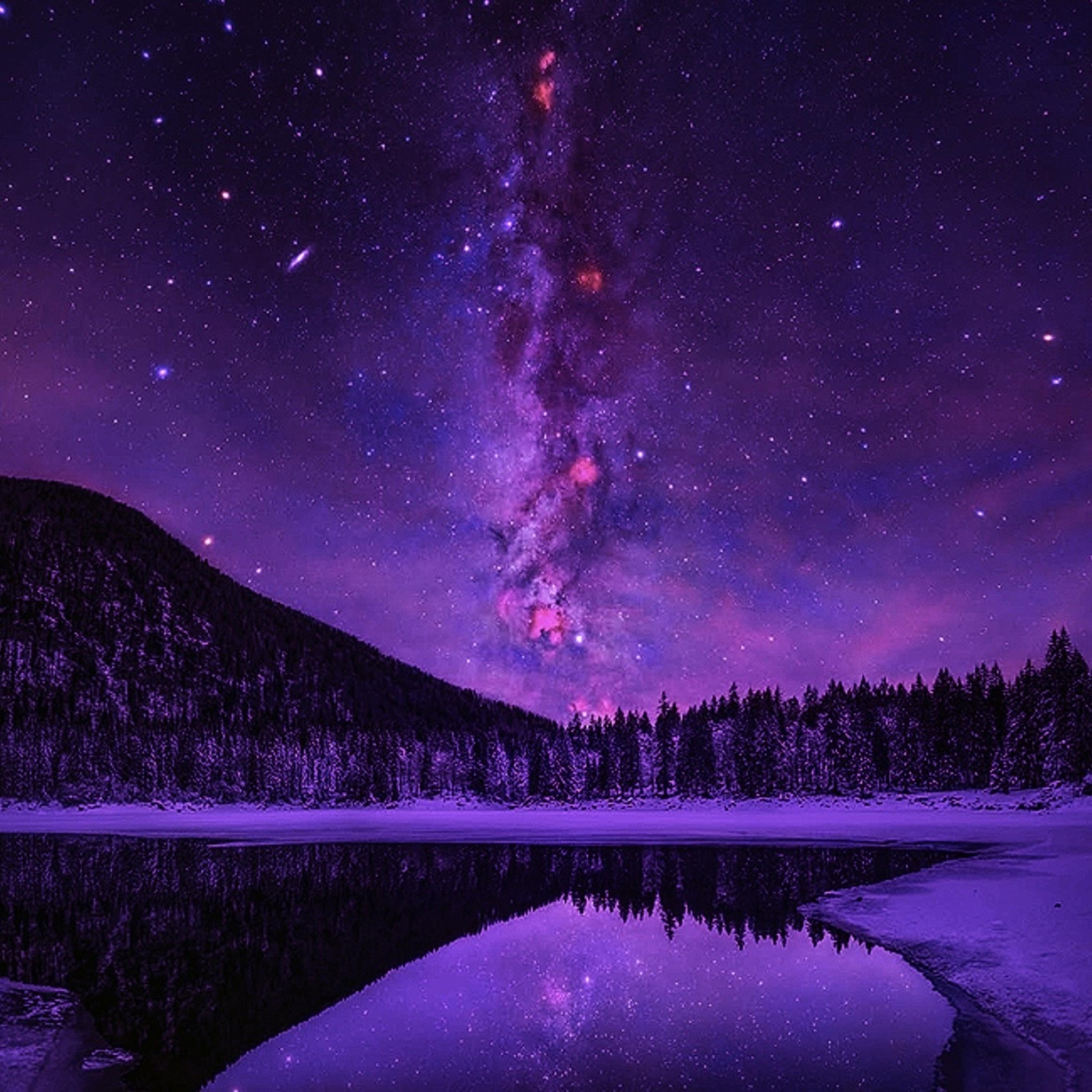 Purple Moonlight artwork