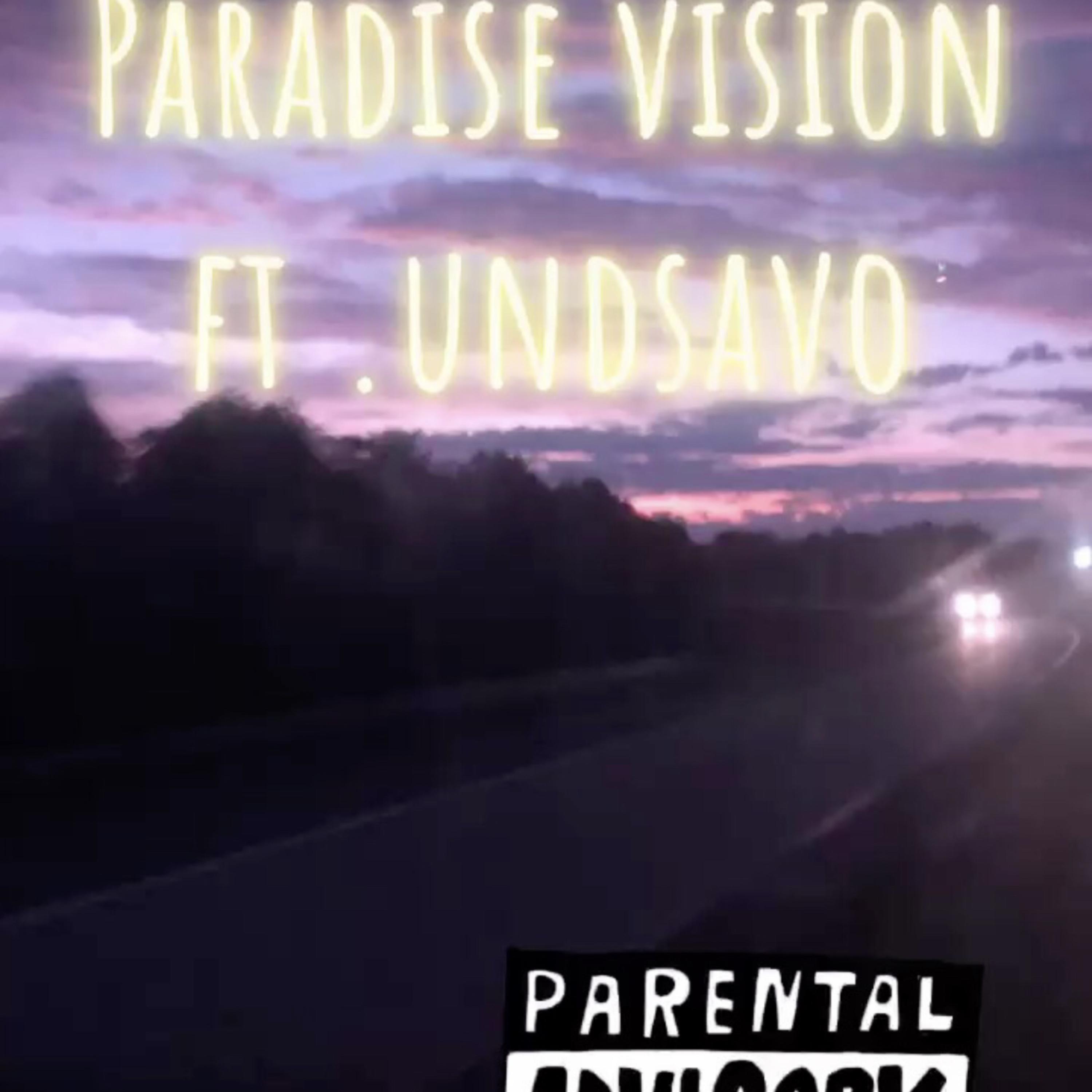 PARADISE ViSION artwork