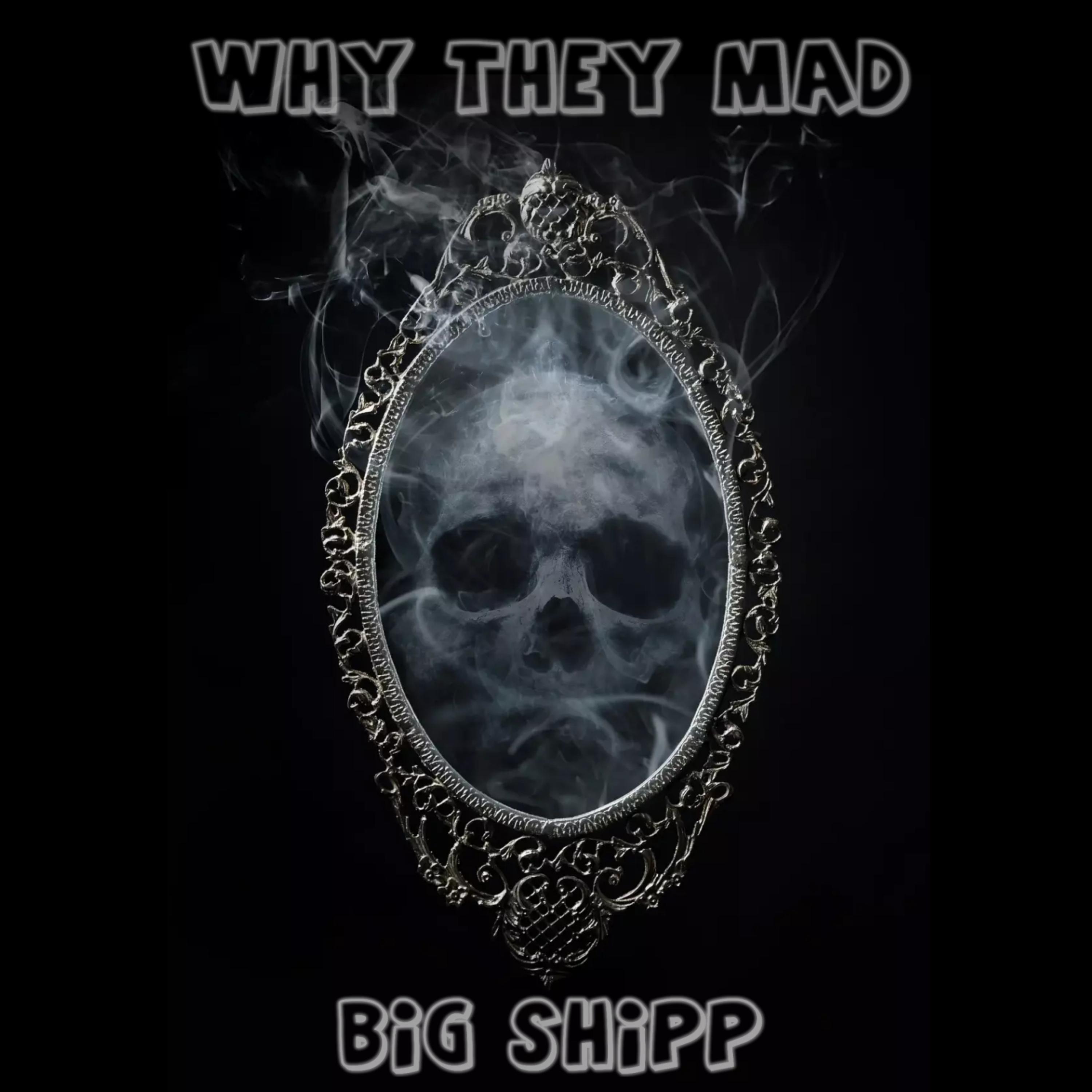 WHY THEY MAD artwork