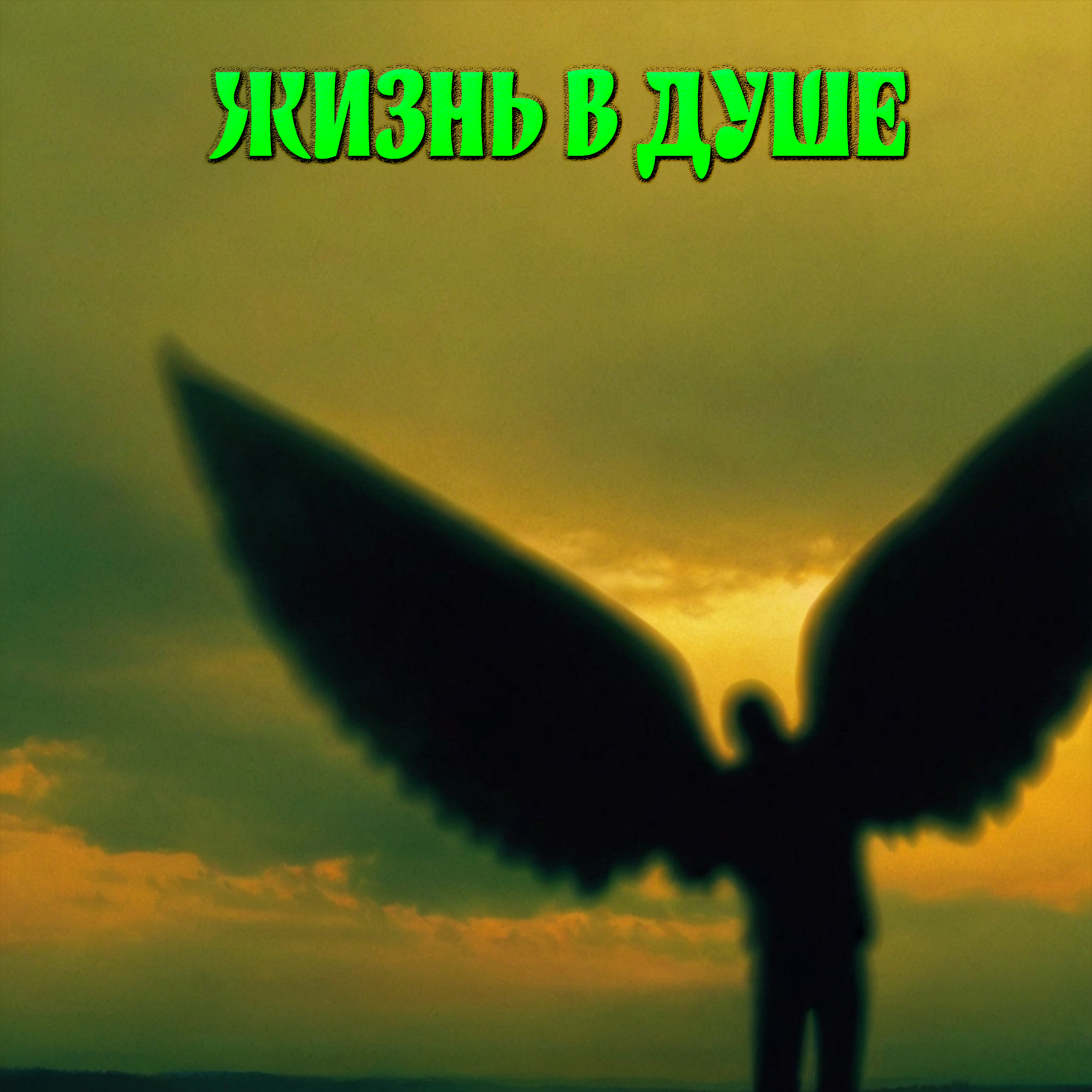 Жизнь в душе artwork