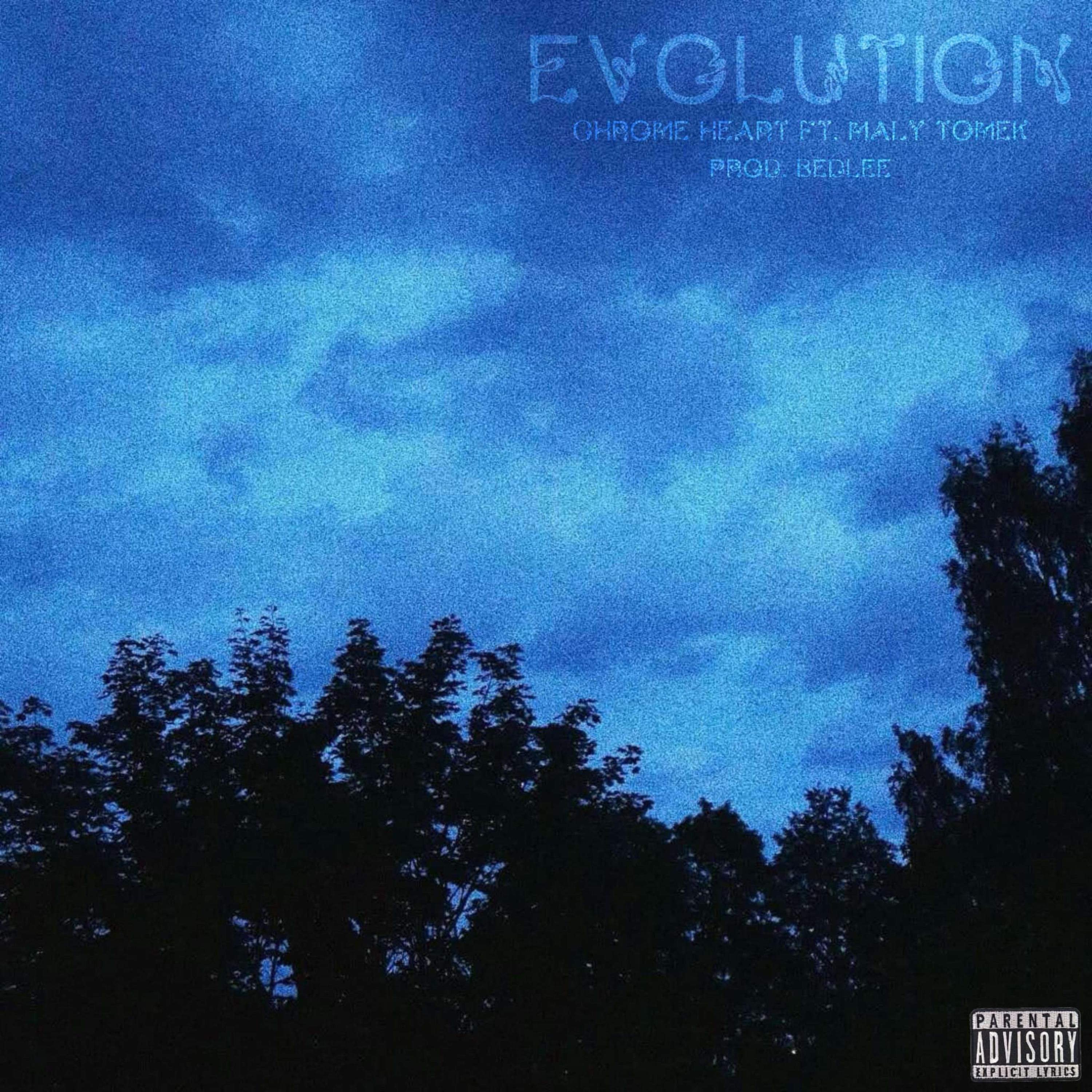 Evolution artwork
