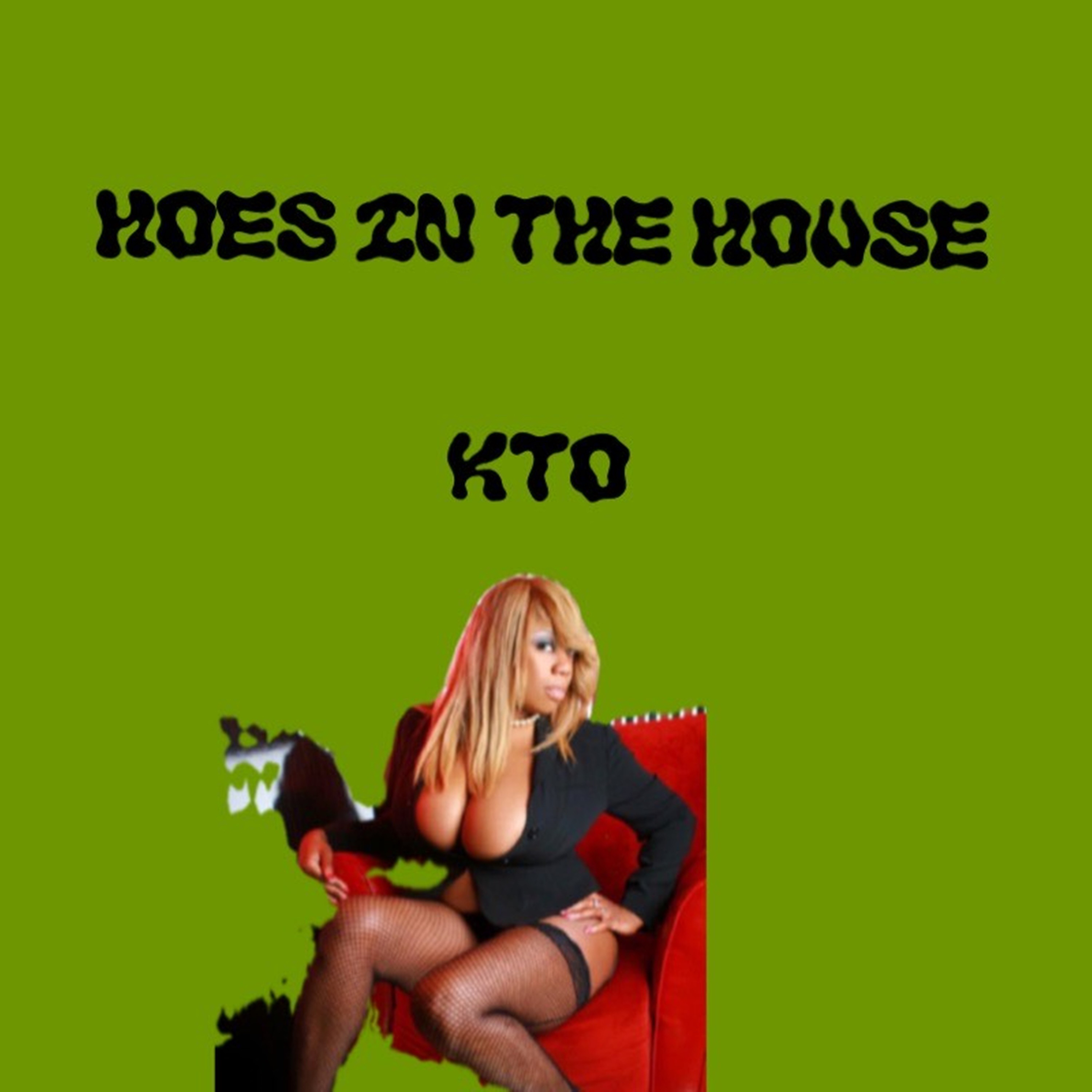 Hoes In This House artwork